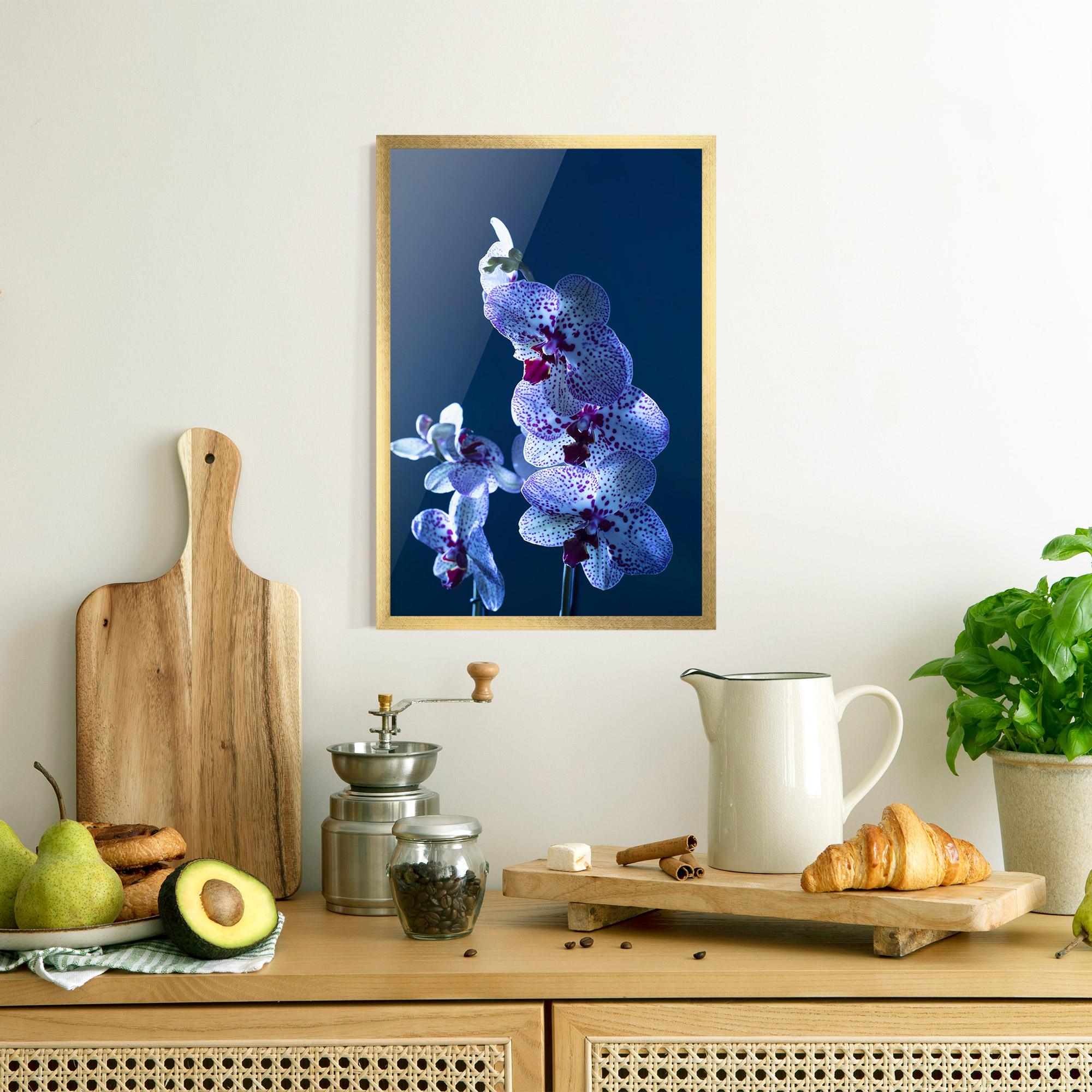 Poster Înrămat Blue Light Orchid mockup 8