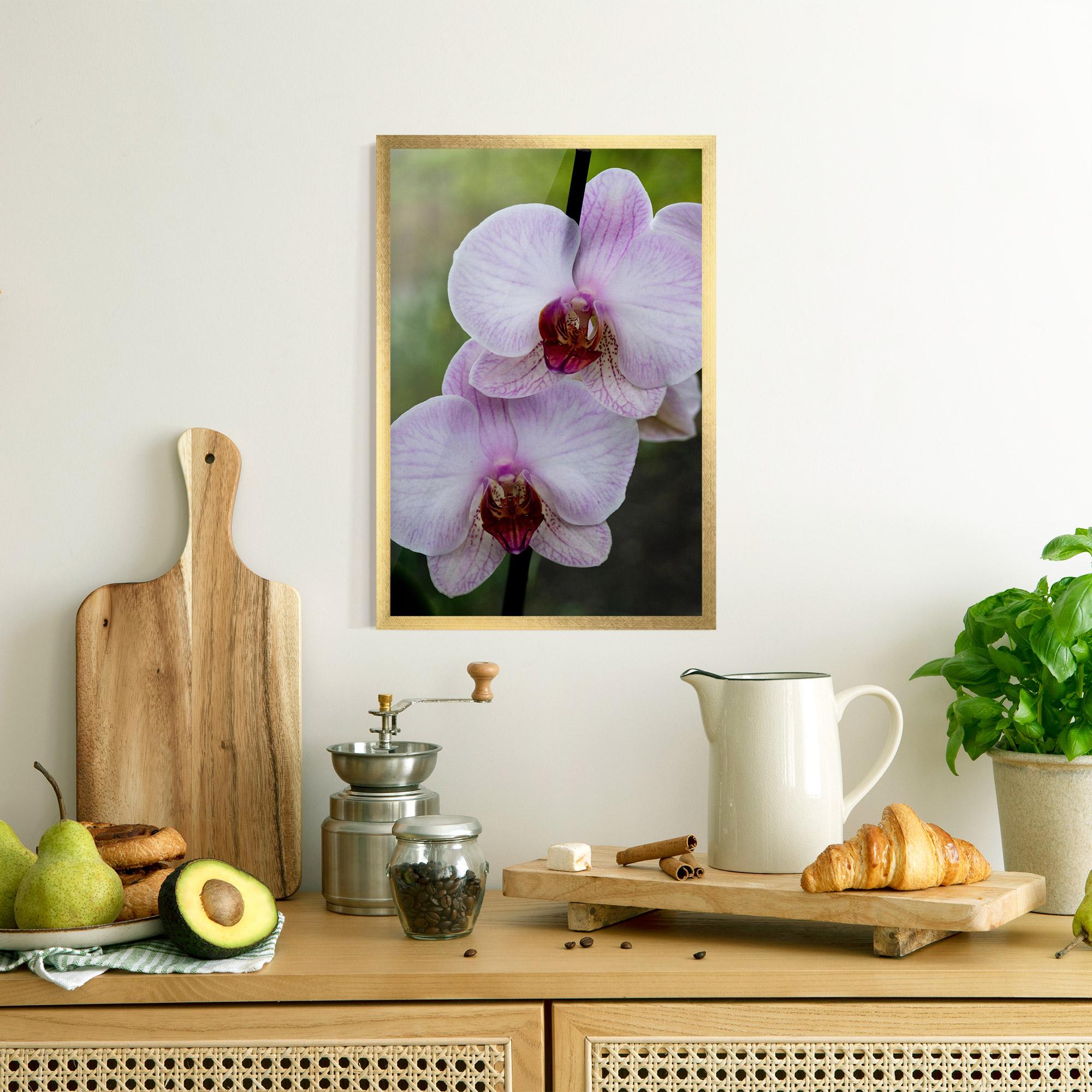 Poster Înrămat Garden Light Purple Orchid mockup 8
