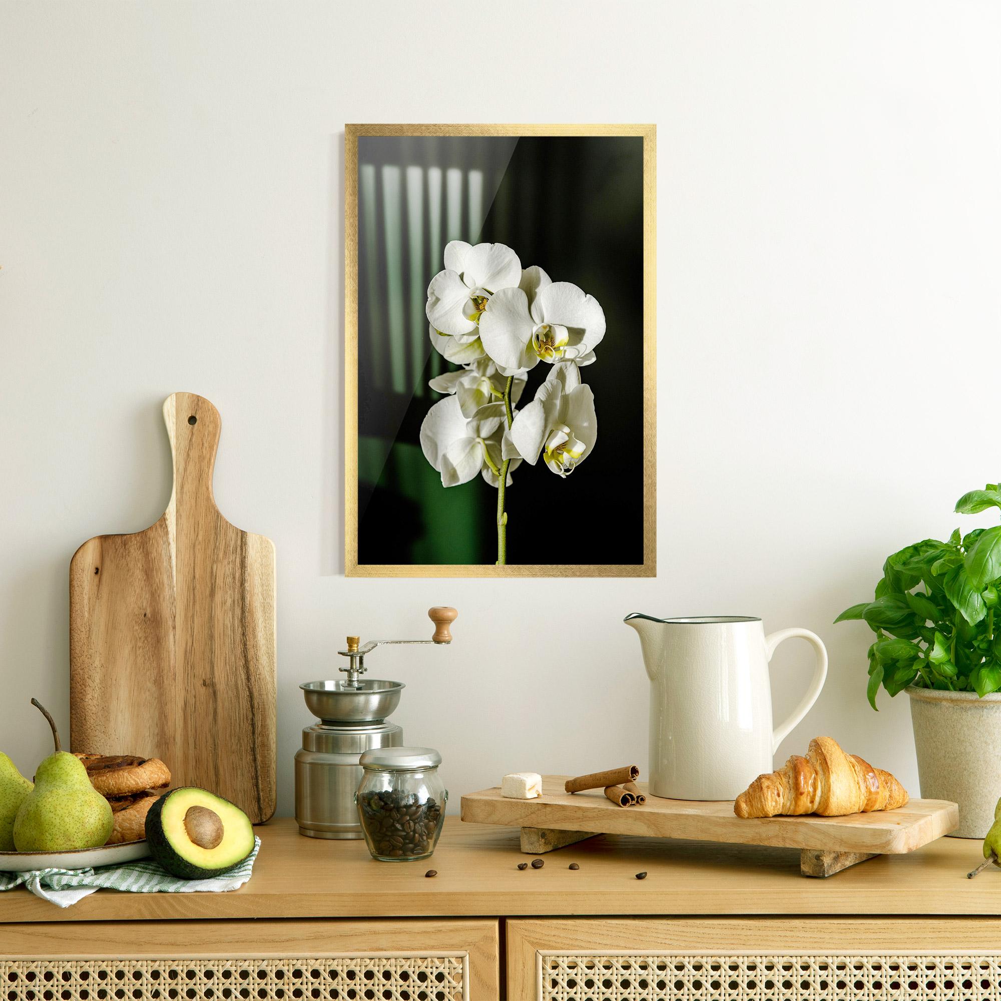 Poster Înrămat Orchid On Green mockup 8
