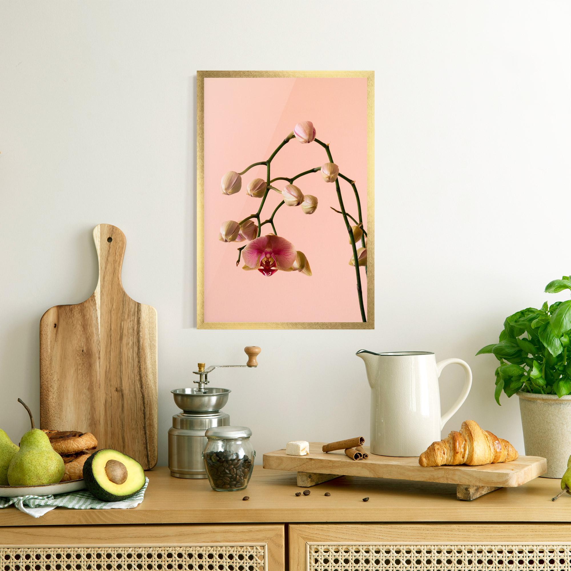 Poster Înrămat Orchids On Pink mockup 8