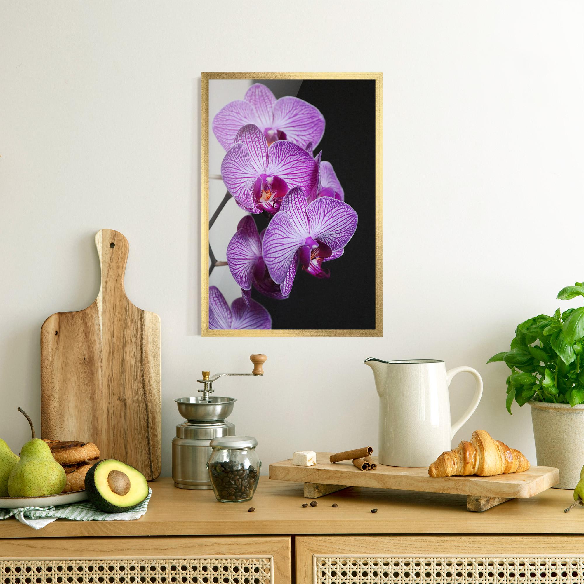 Poster Înrămat Purple Orchid On Black mockup 8