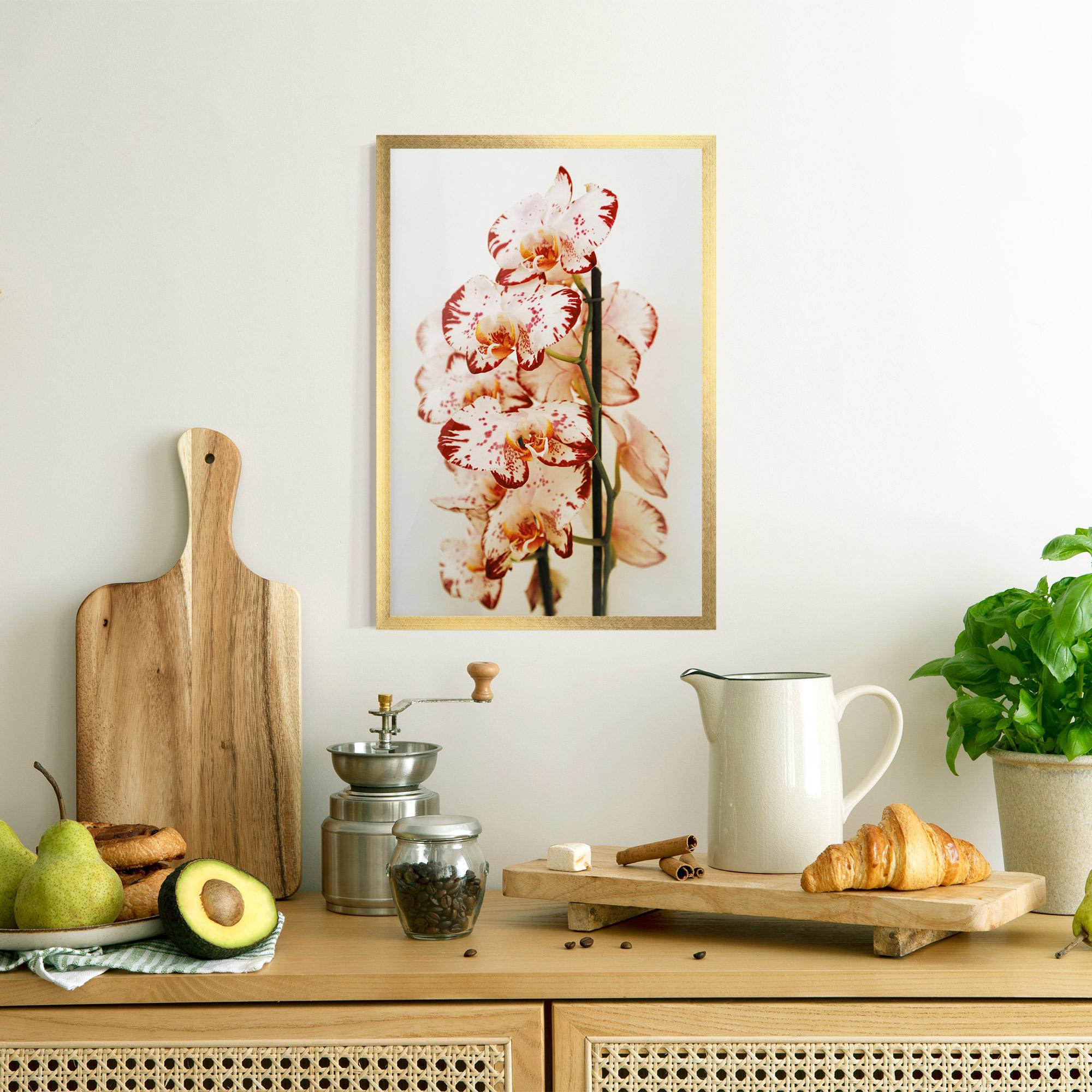 Poster Înrămat Red White Orchids mockup 8