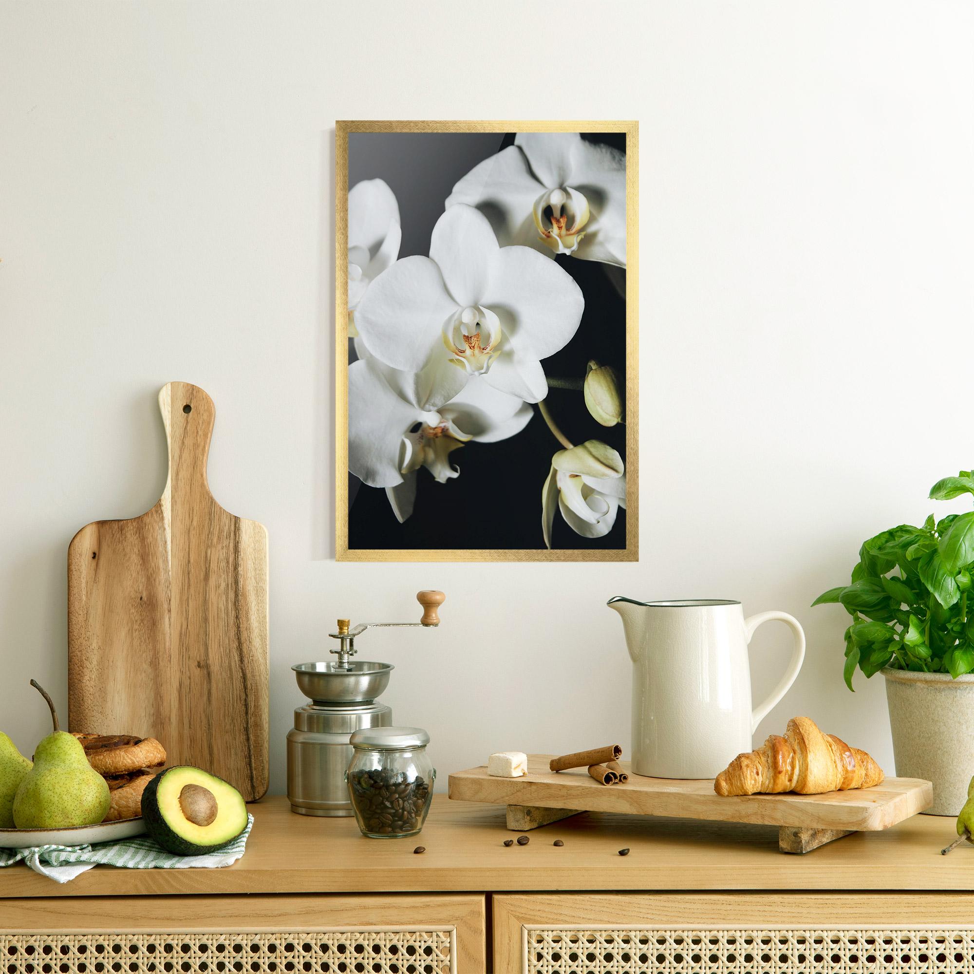 Poster Înrămat White Orchid On Black mockup 8