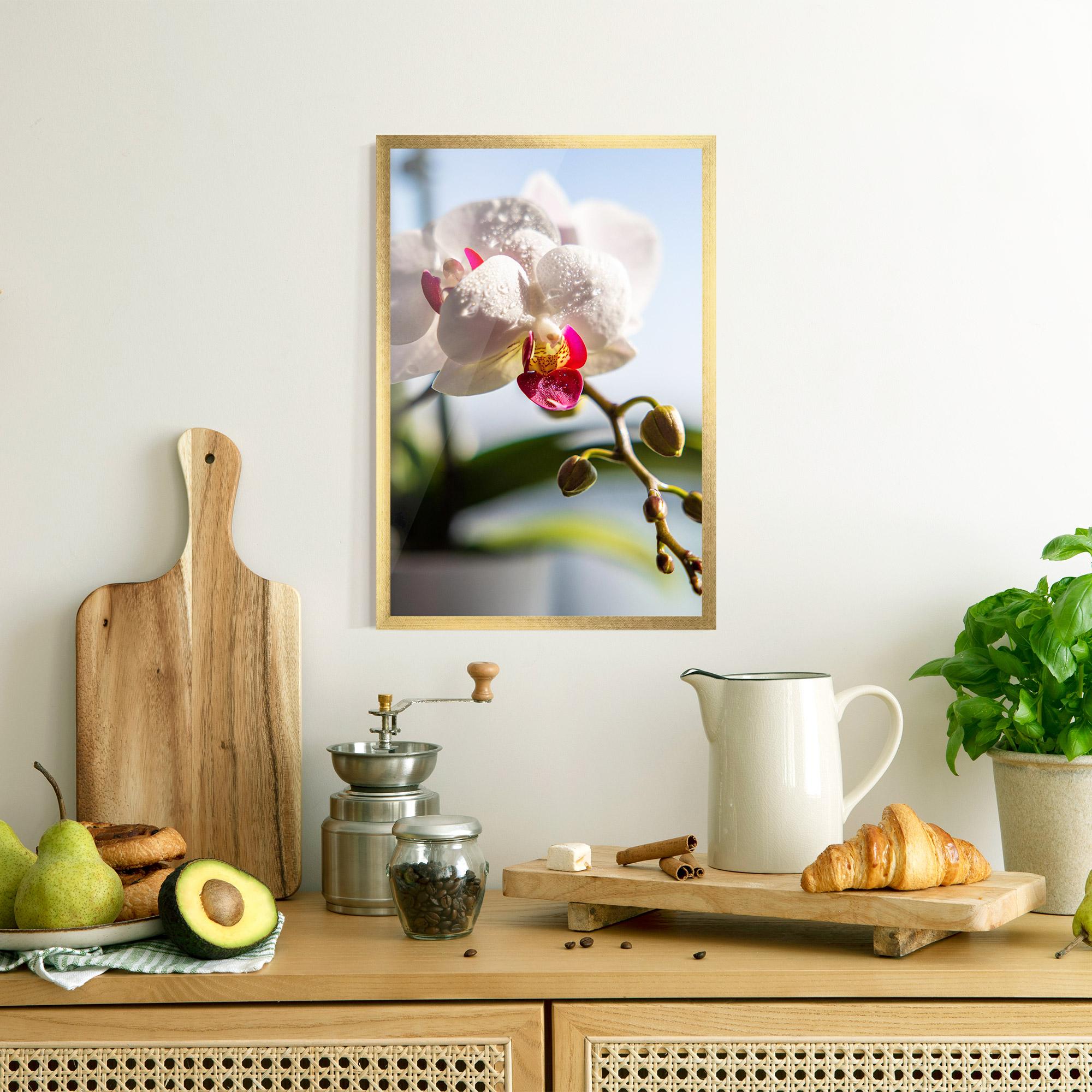 Poster Înrămat White Orchid With Water mockup 8