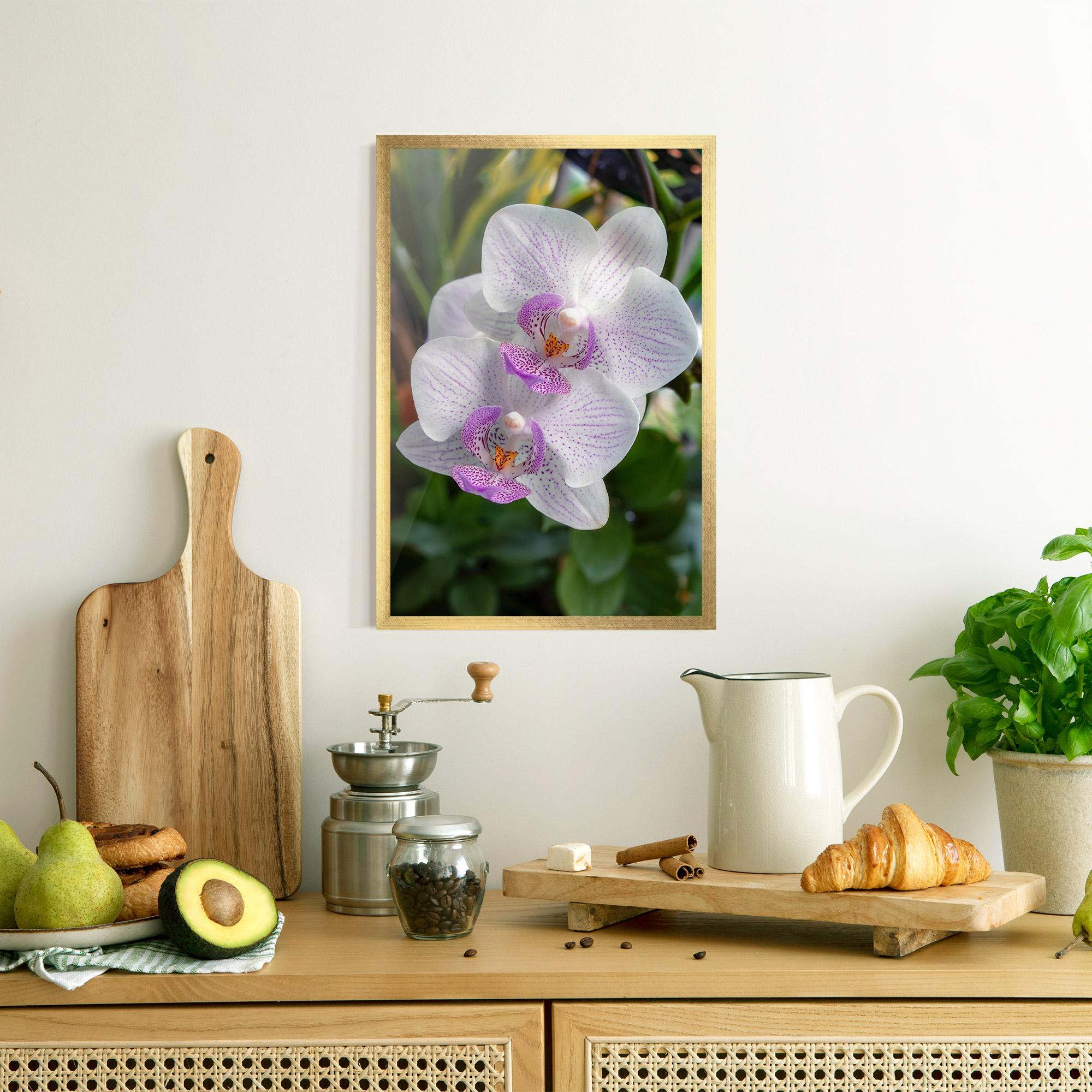 Poster Înrămat White Orchids mockup 8