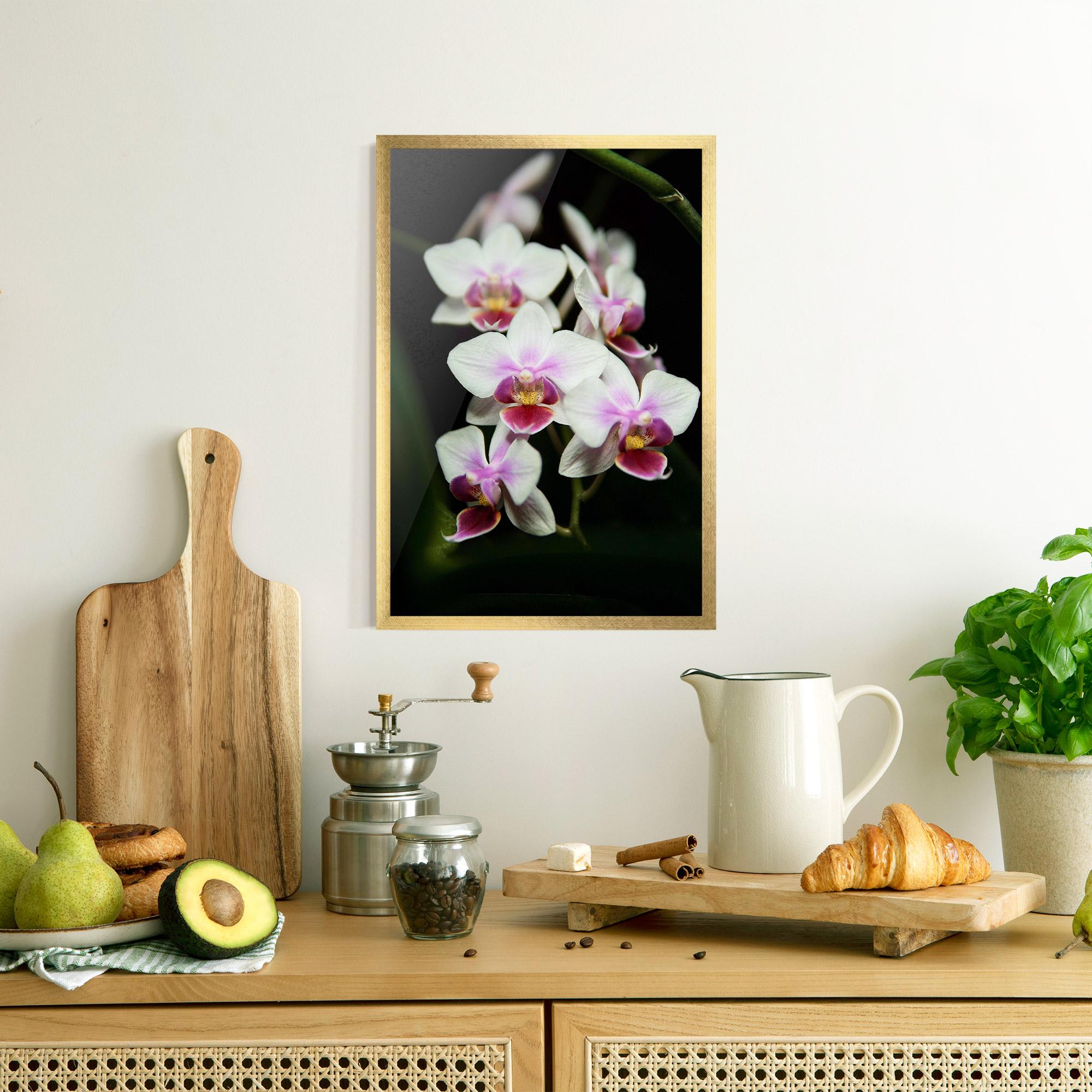Poster Înrămat Wild White Purple Orchid mockup 8