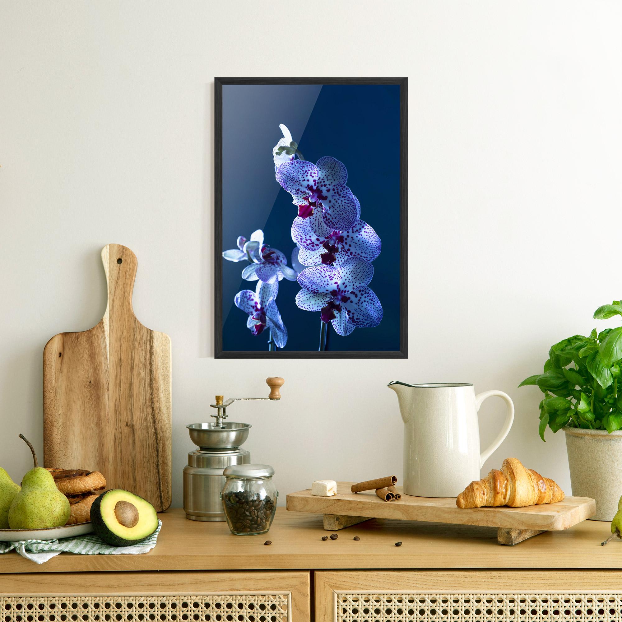 Poster Înrămat Blue Light Orchid mockup 8