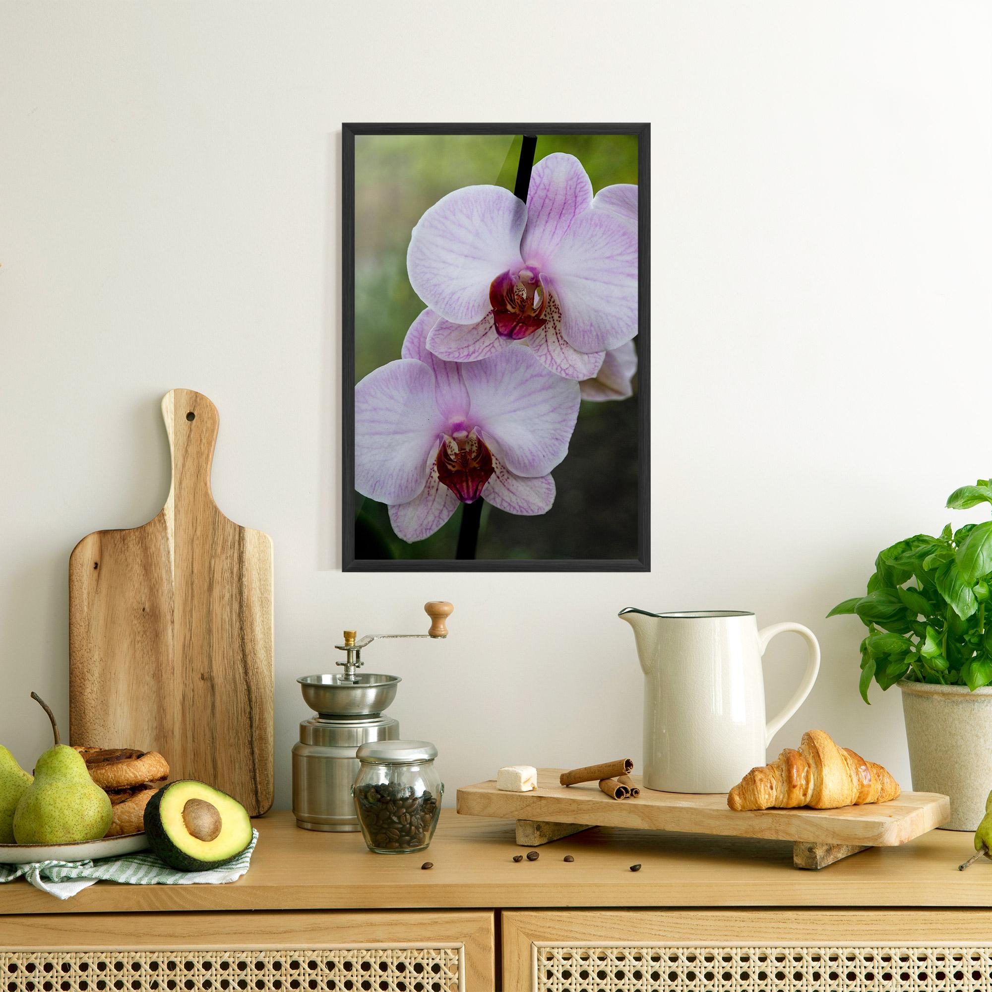 Poster Înrămat Garden Light Purple Orchid mockup 8