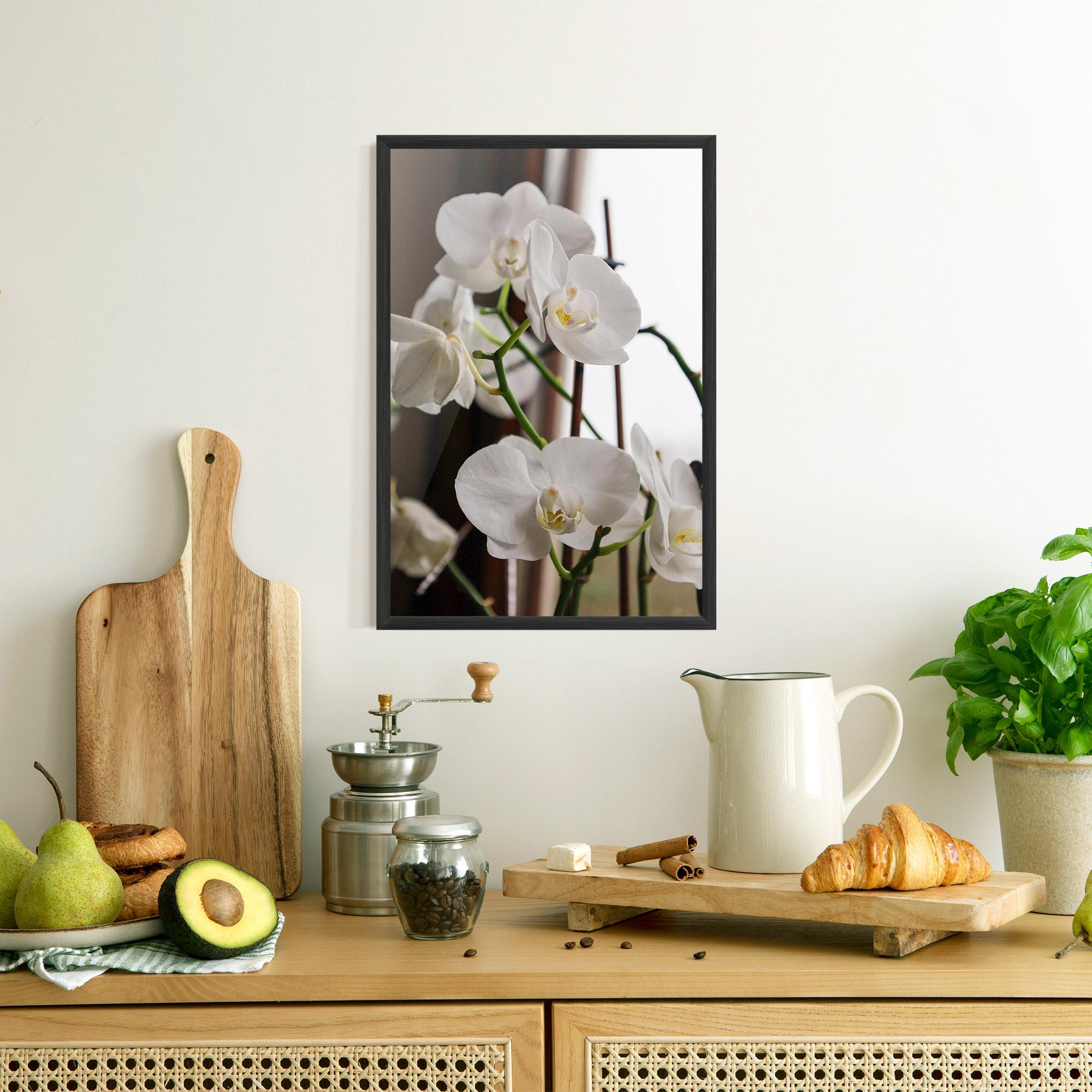 Poster Înrămat White Orchid Growing mockup 8