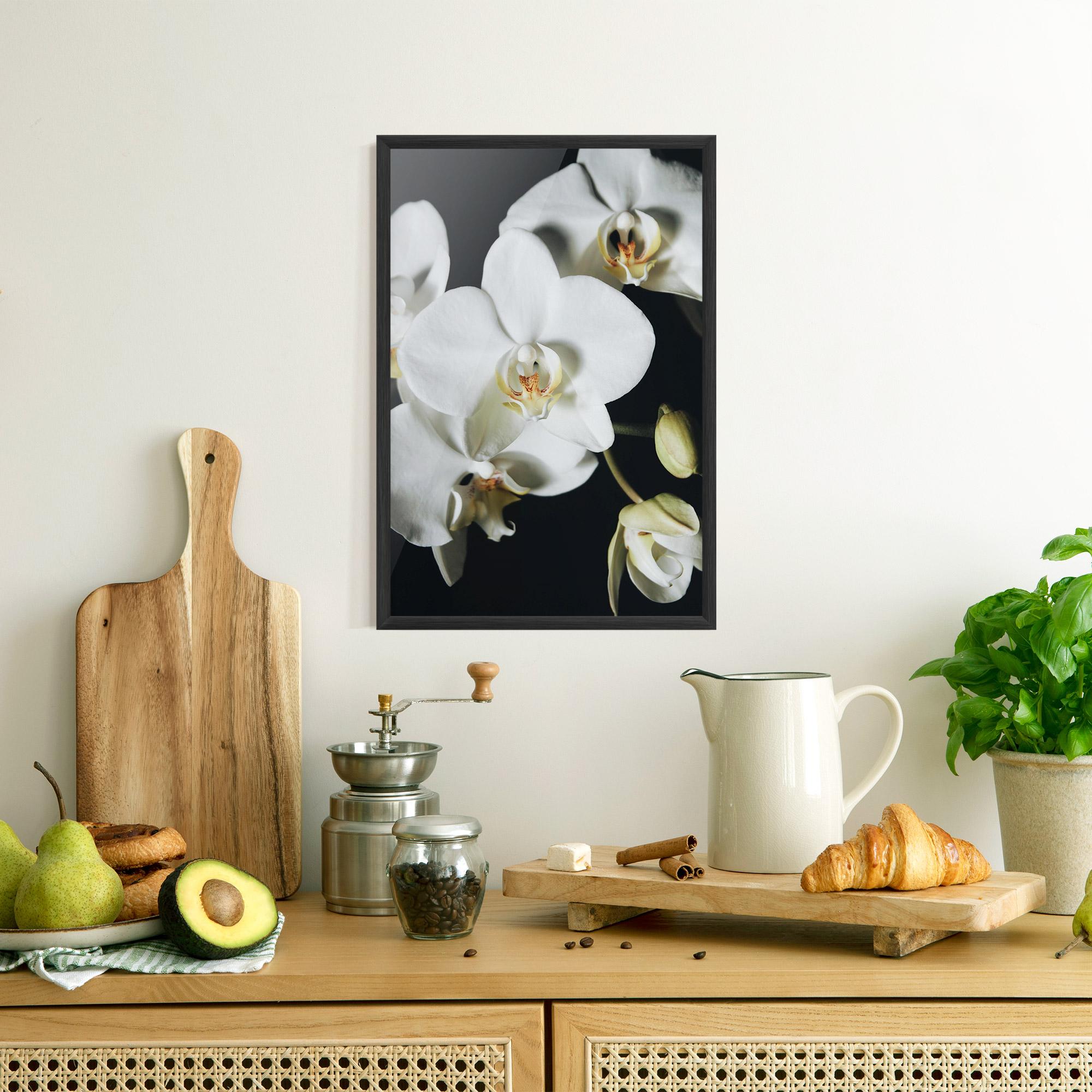 Poster Înrămat White Orchid On Black mockup 8