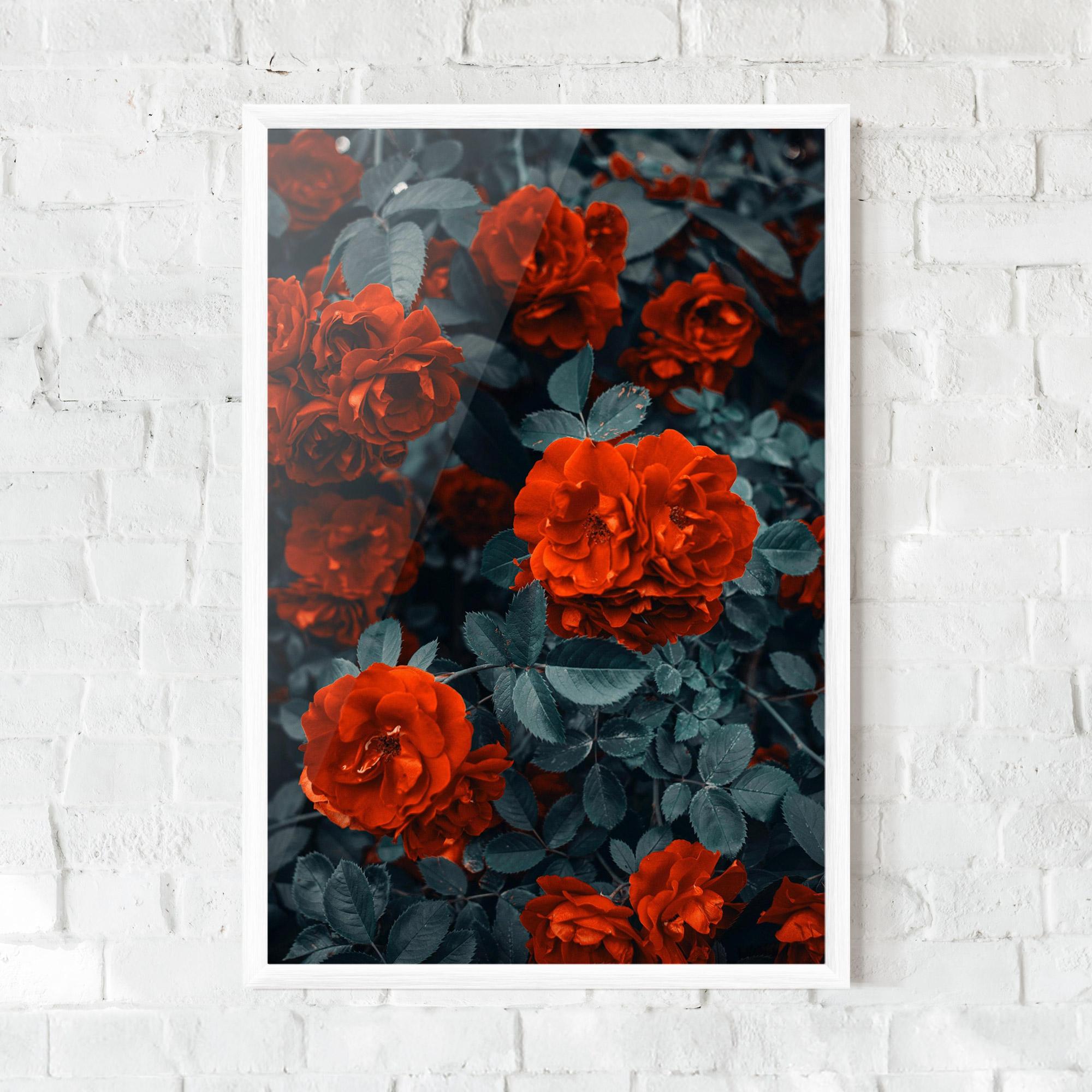 Poster Înrămat Bright Red Rose mockup 0
