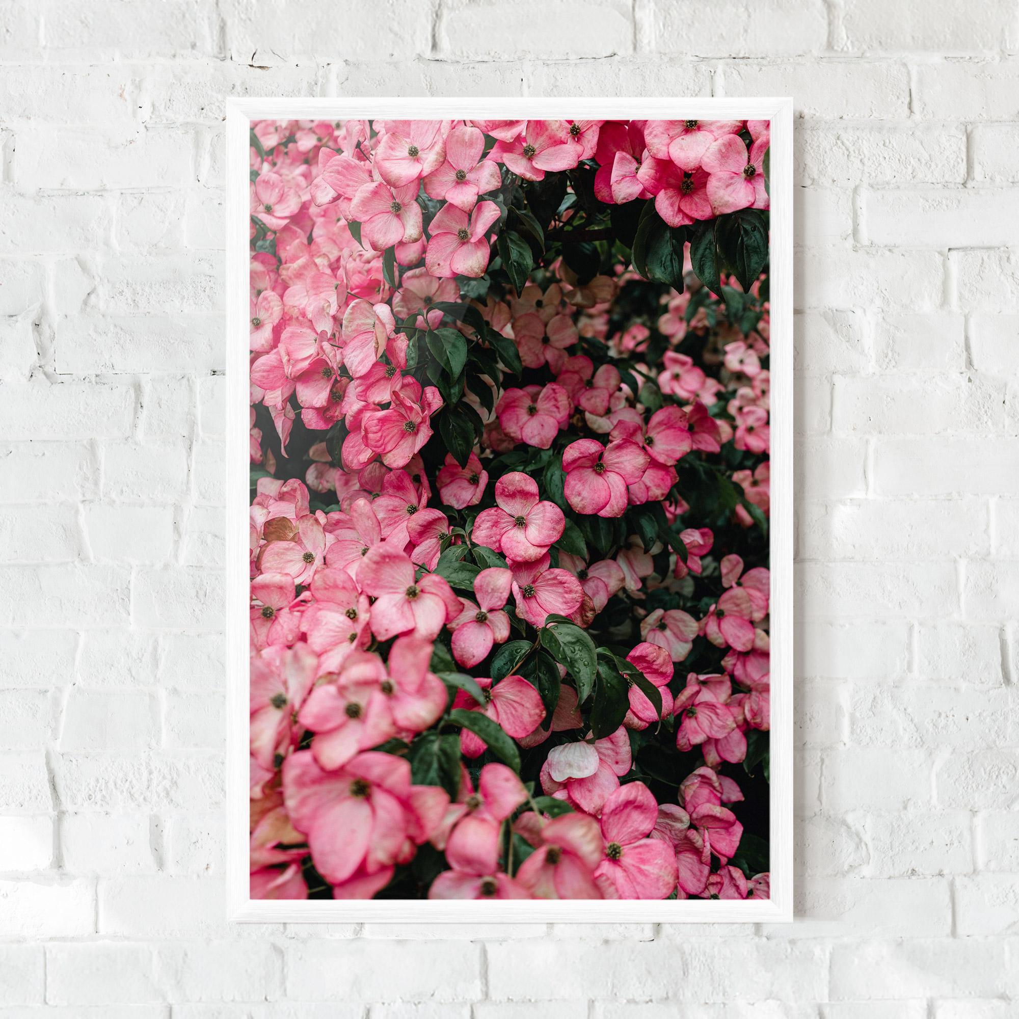 Poster Înrămat Pink Rose Flower Tree mockup 0