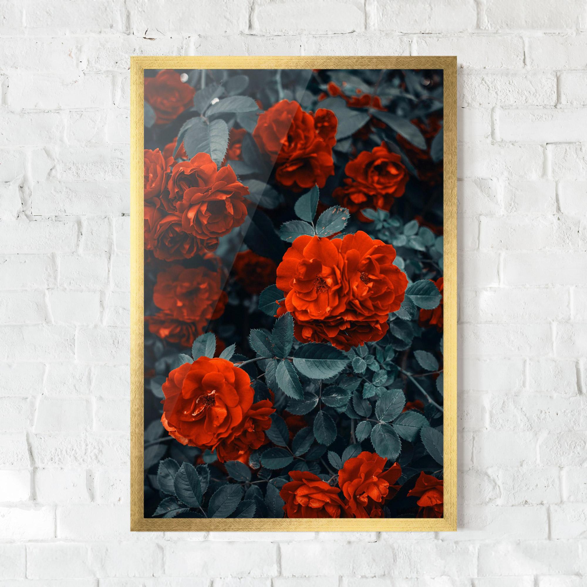 Poster Înrămat Bright Red Rose mockup 0