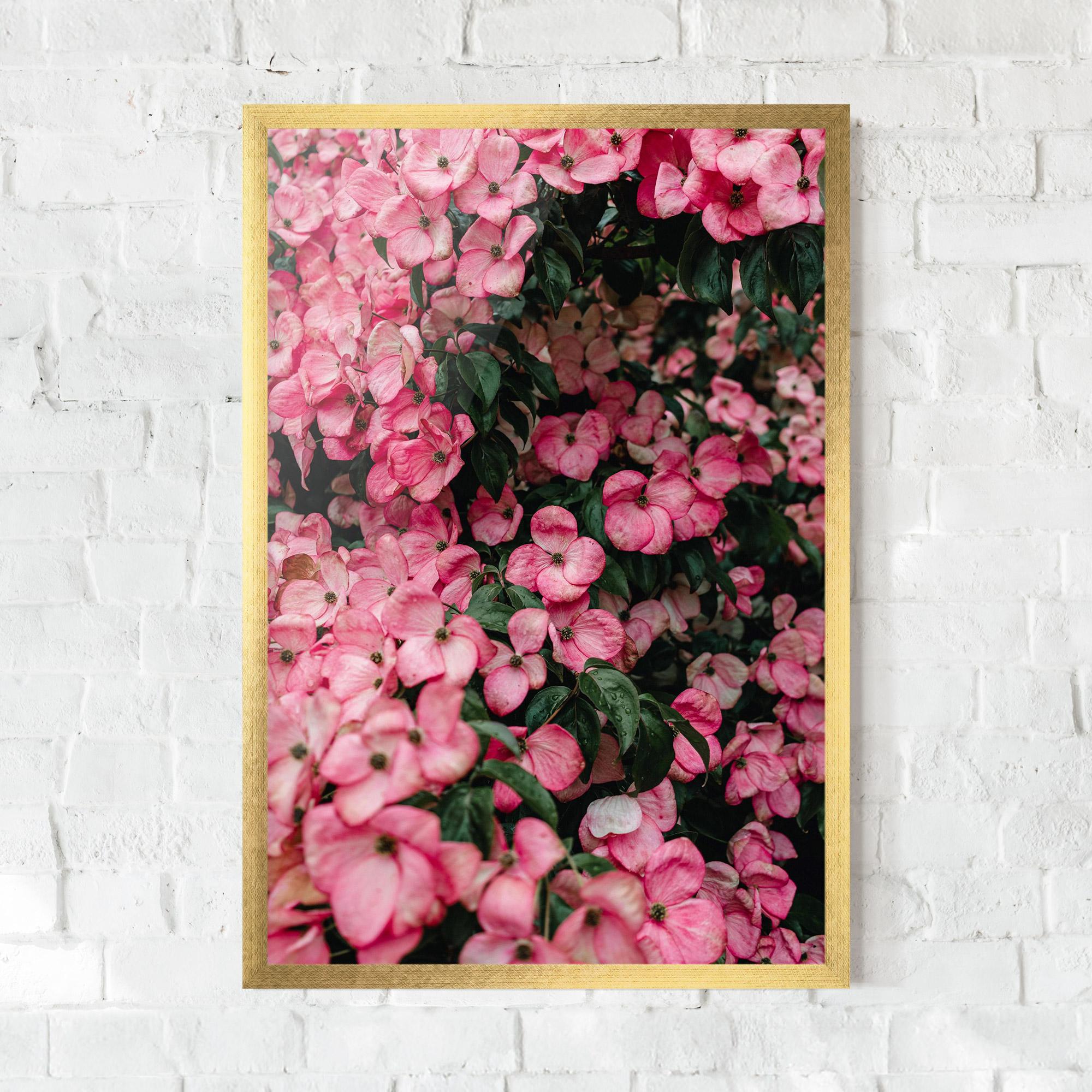 Poster Înrămat Pink Rose Flower Tree mockup 0