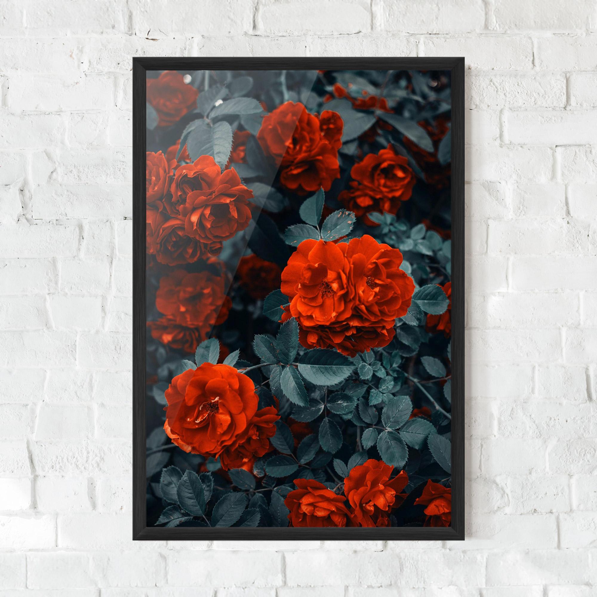 Poster Înrămat Bright Red Rose mockup 0