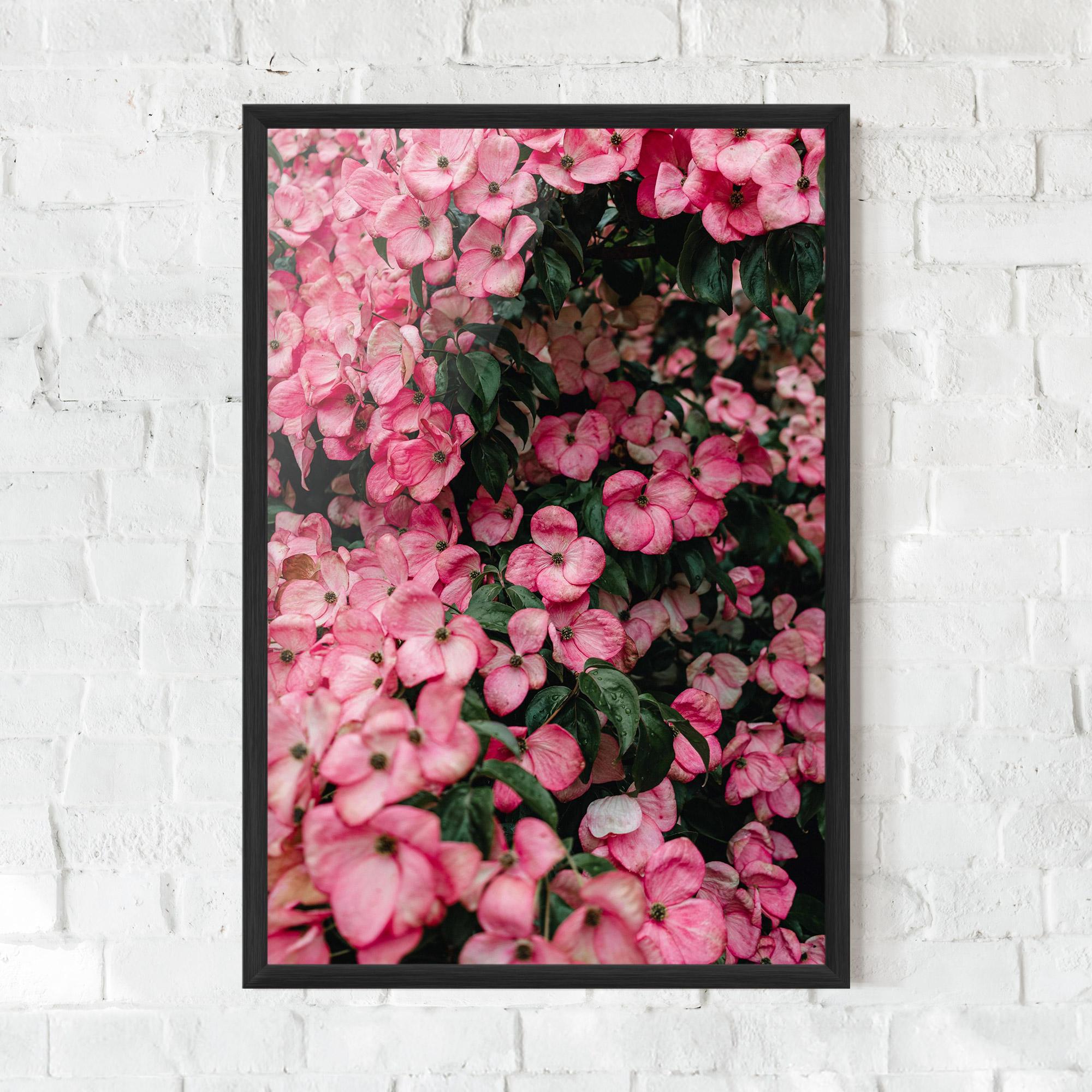 Poster Înrămat Pink Rose Flower Tree mockup 0
