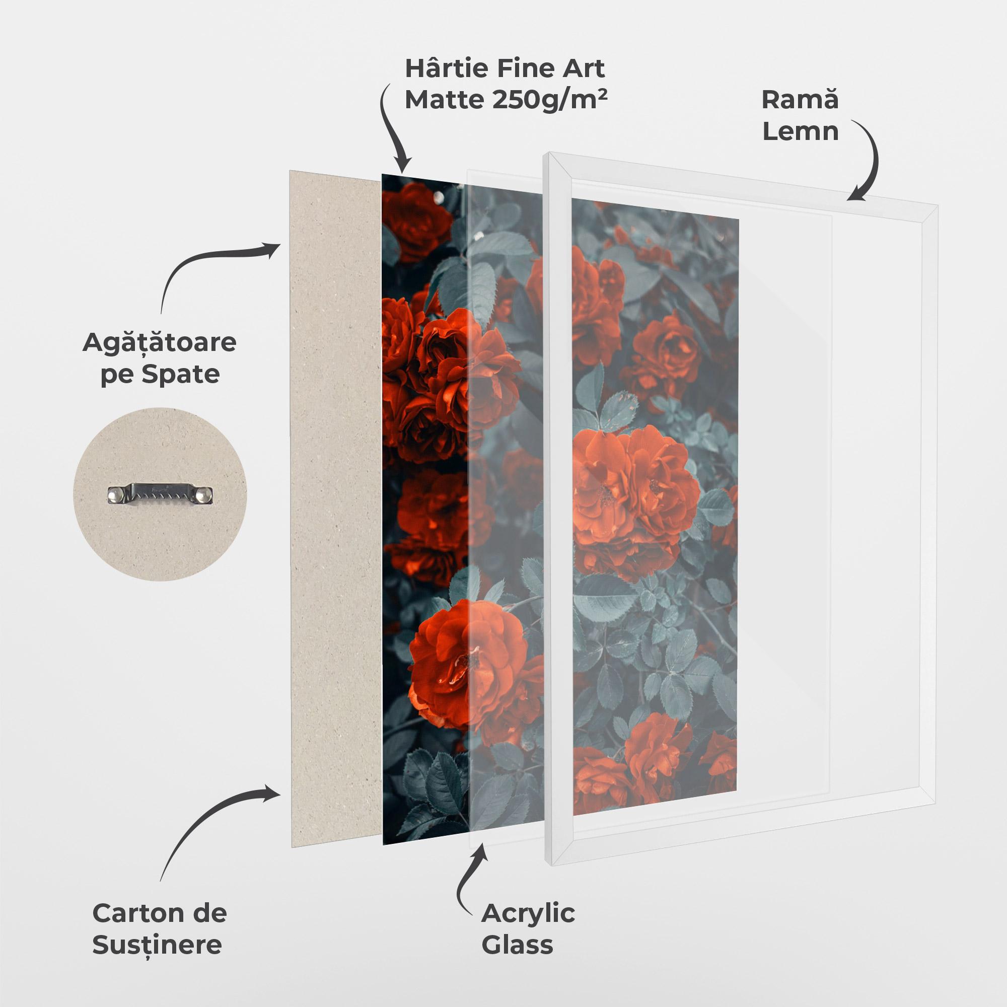 Poster Înrămat Bright Red Rose mockup 1