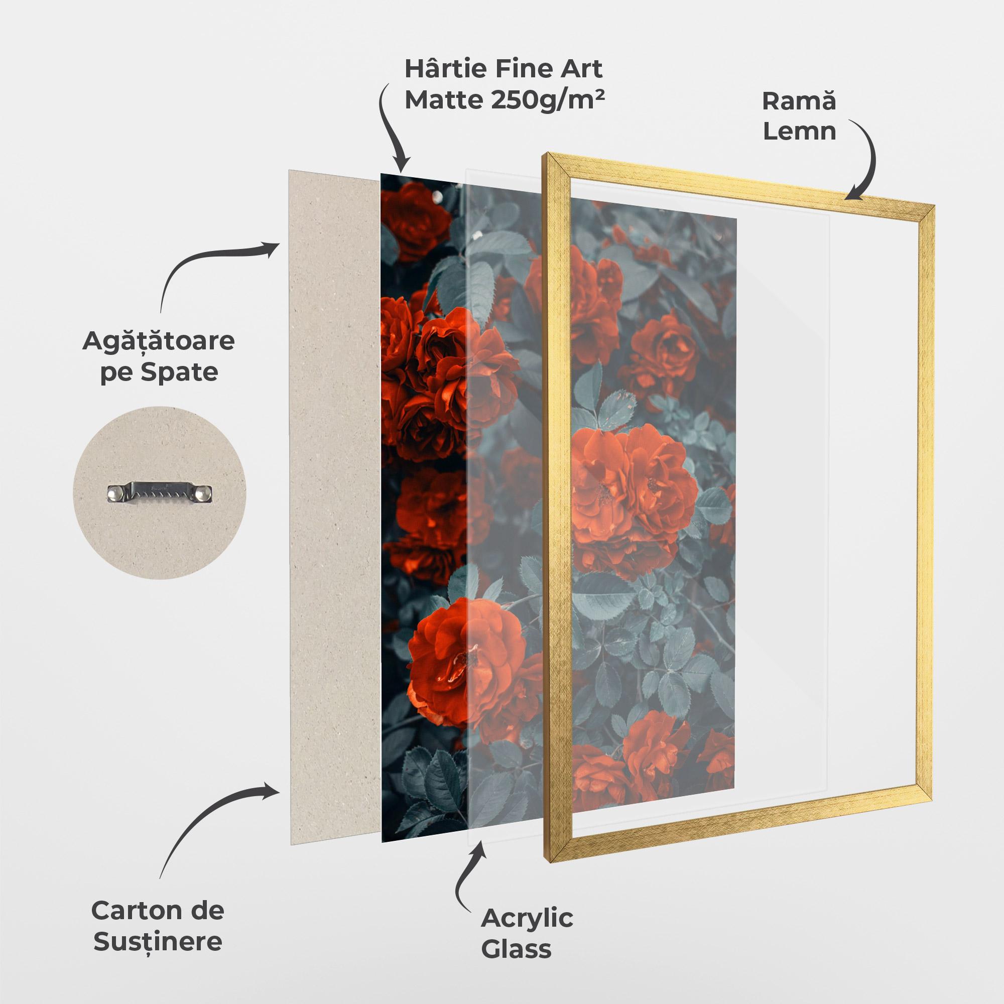 Poster Înrămat Bright Red Rose mockup 1