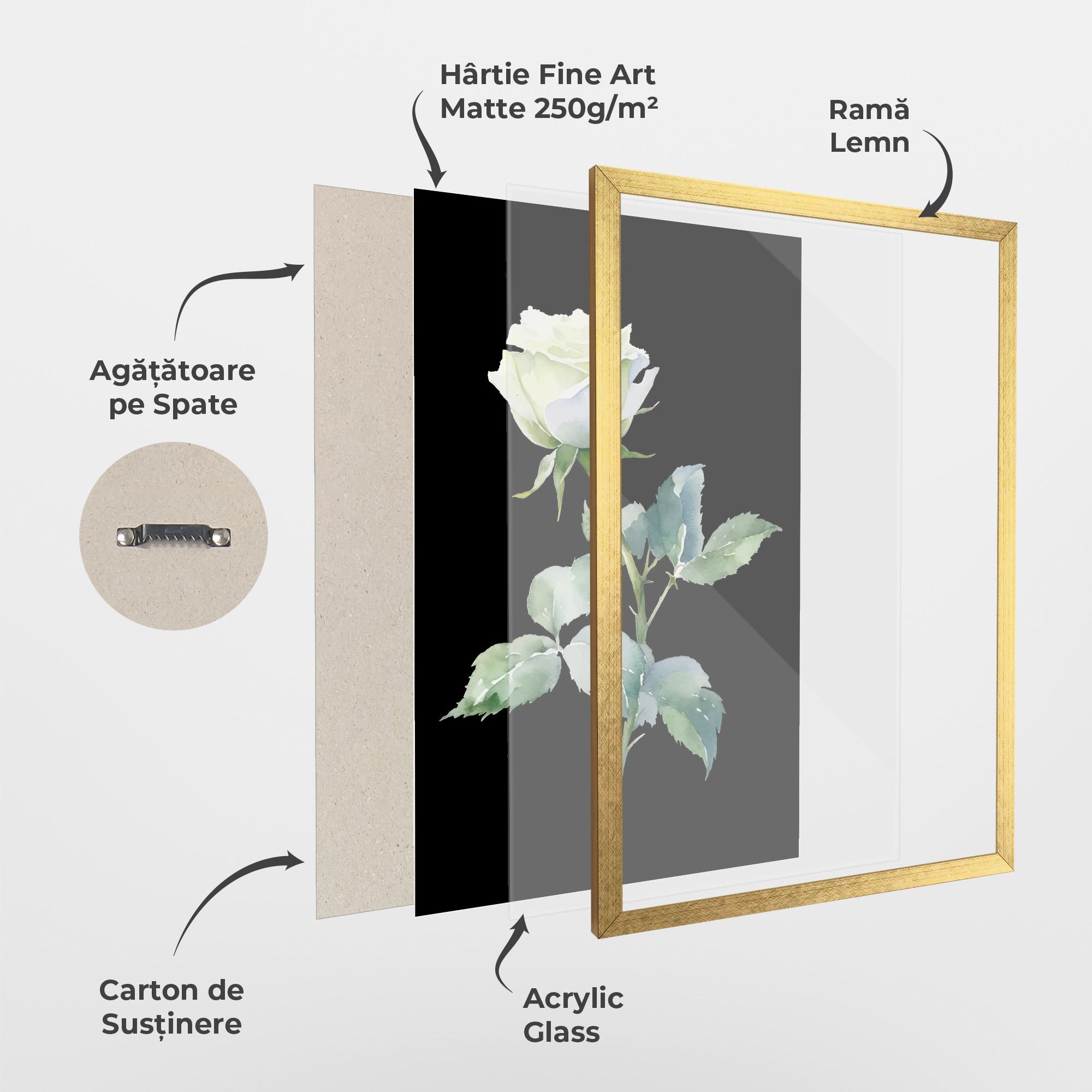 Poster Înrămat White Rose mockup 1