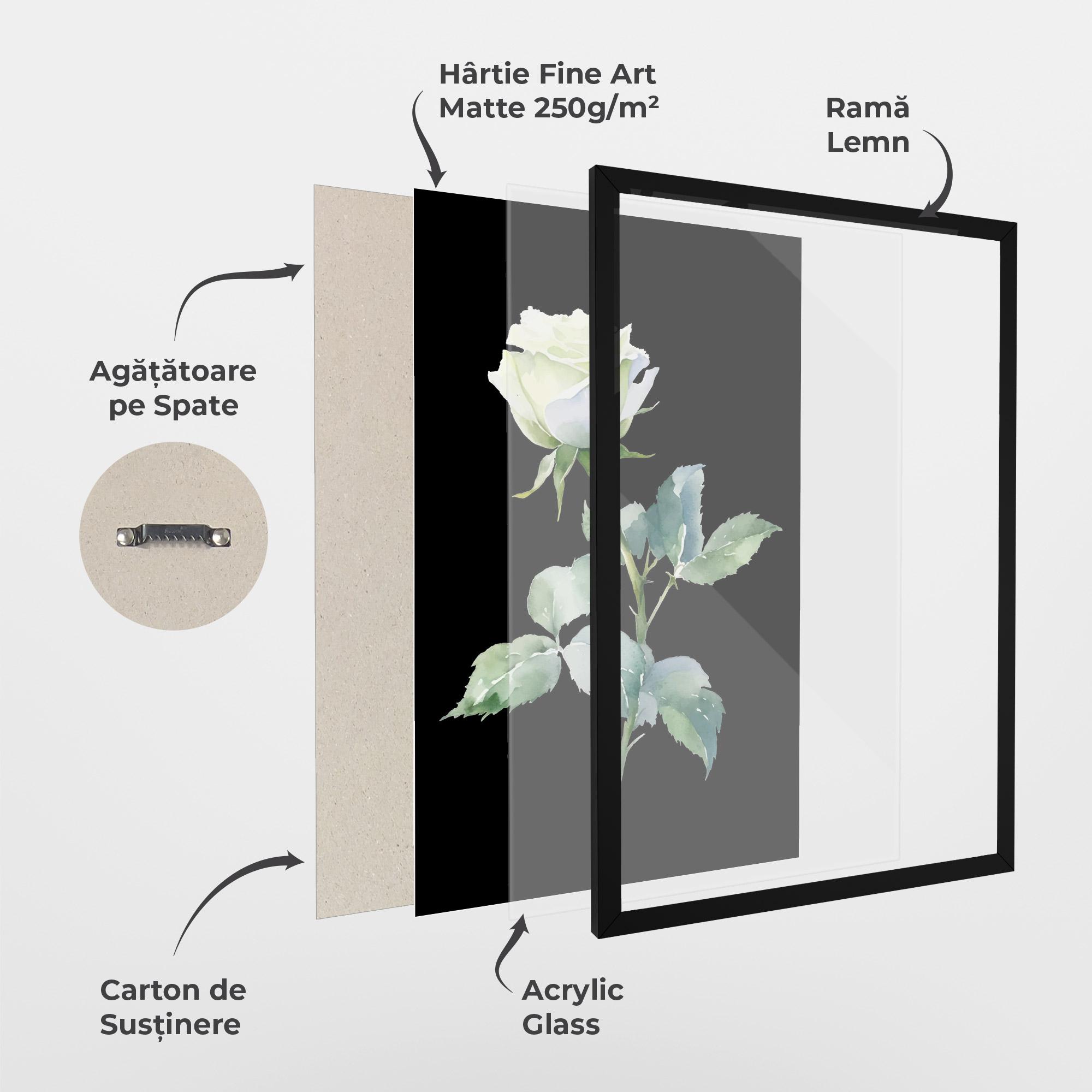 Poster Înrămat White Rose mockup 1