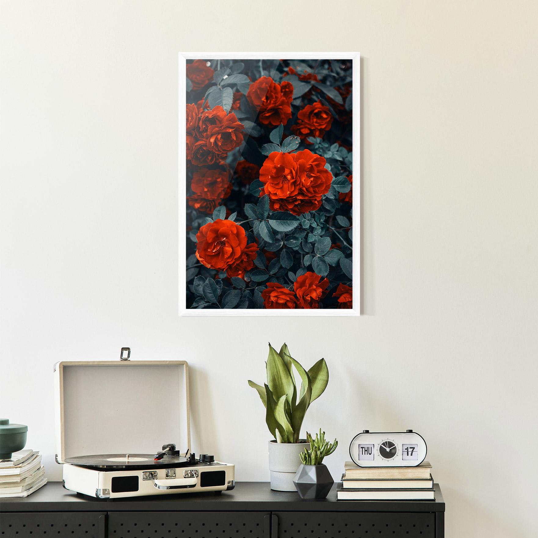 Poster Înrămat Bright Red Rose mockup 2