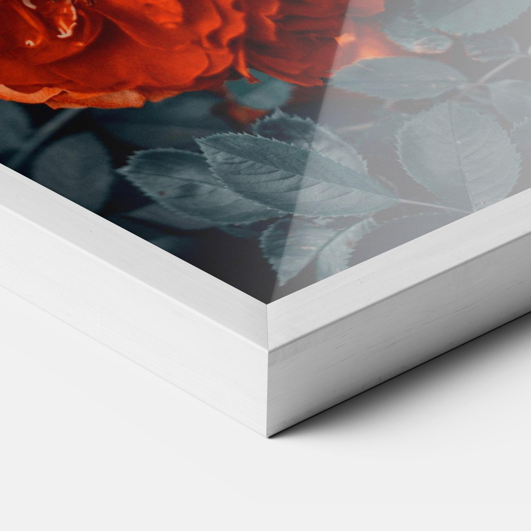 Poster Înrămat Bright Red Rose mockup 3