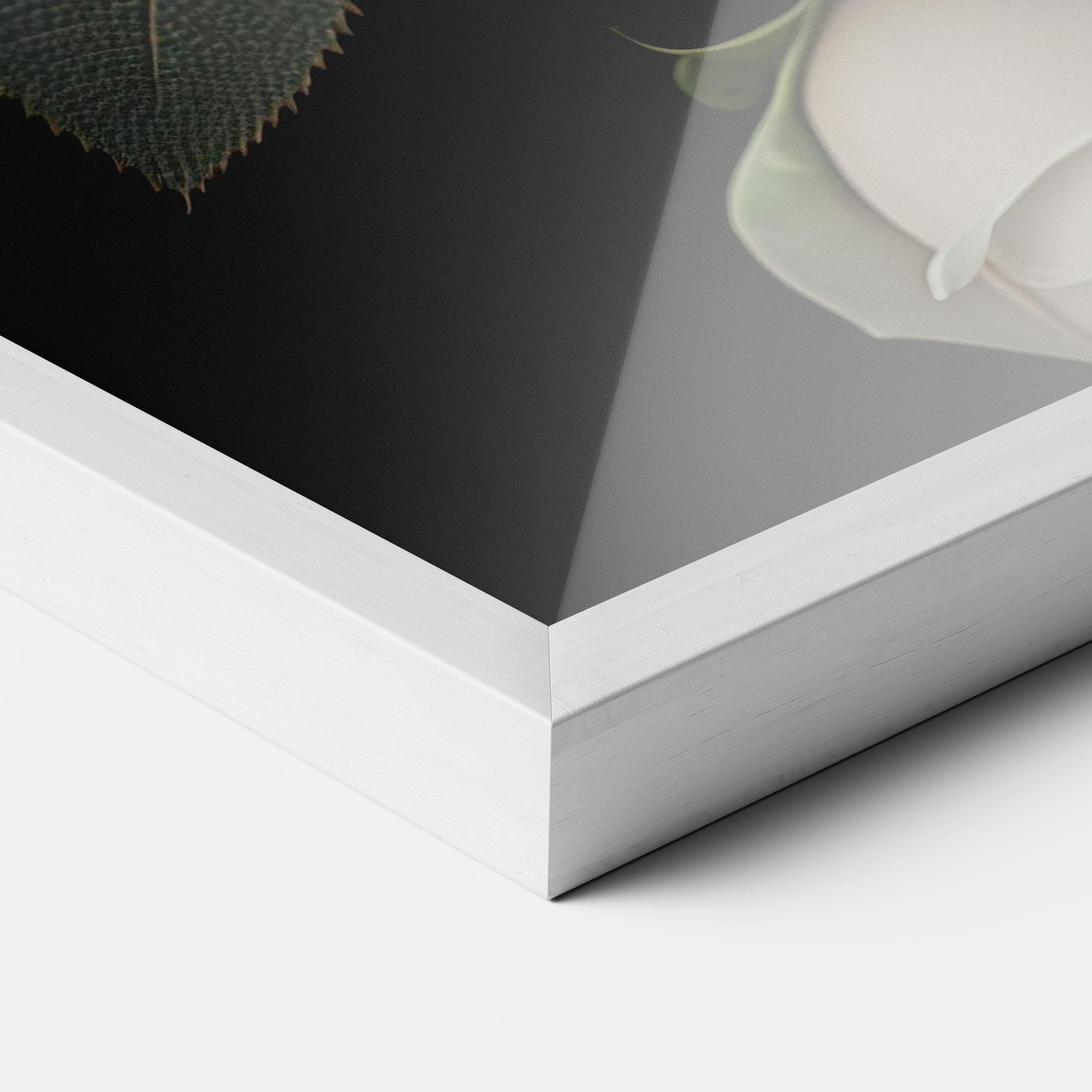 Poster Înrămat Cream Roses Close Up mockup 3