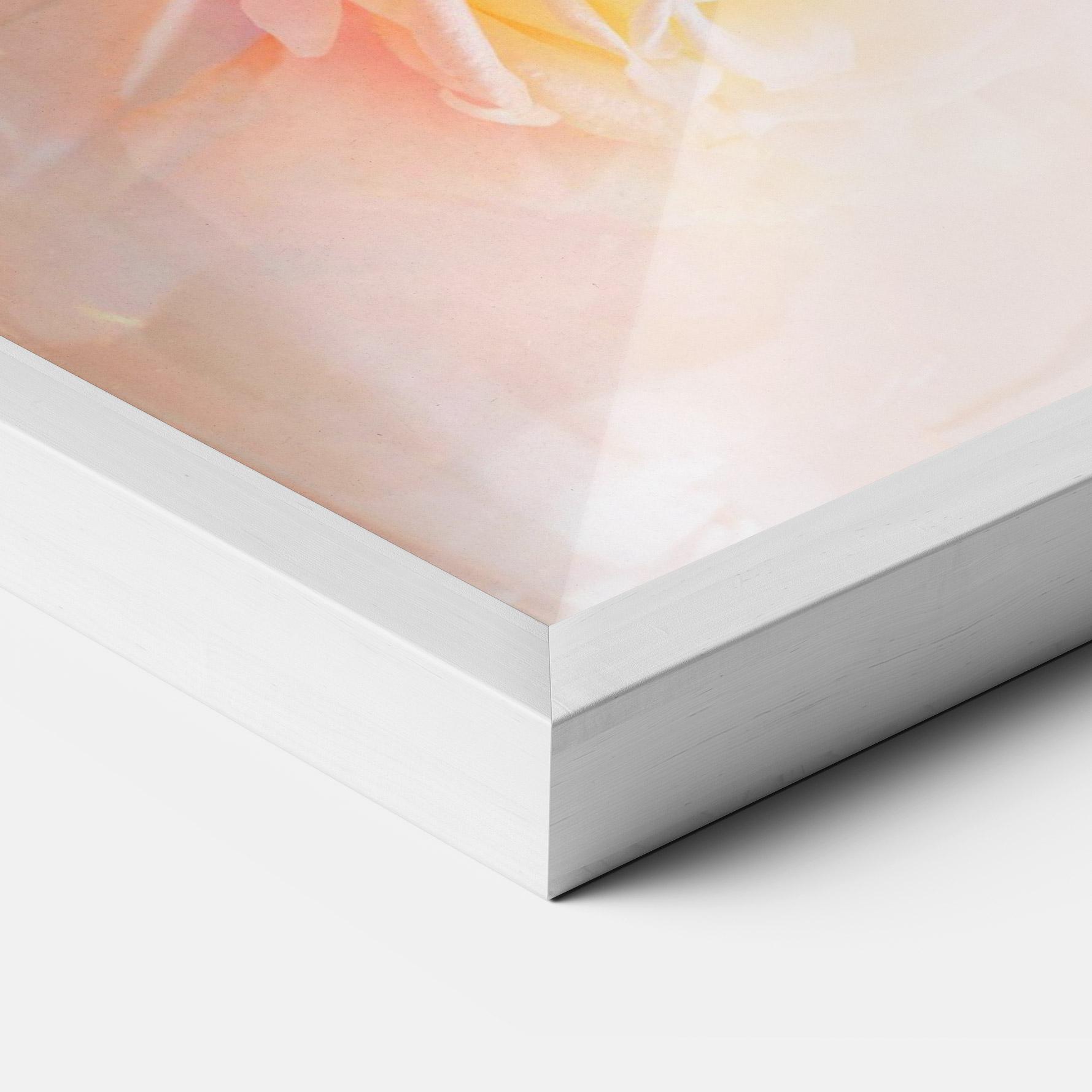 Poster Înrămat Pastel Color Roses mockup 3