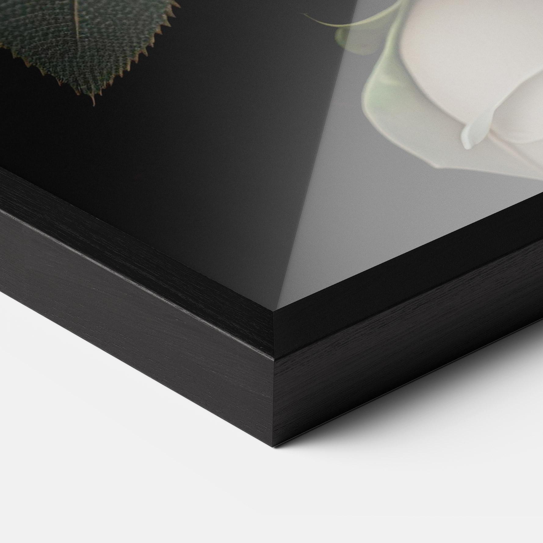 Poster Înrămat Cream Roses Close Up mockup 3