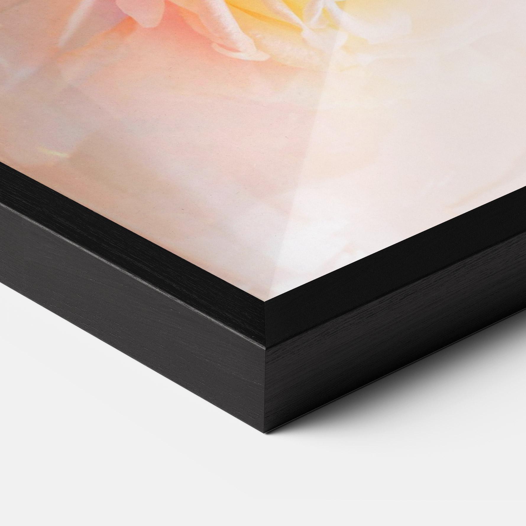 Poster Înrămat Pastel Color Roses mockup 3