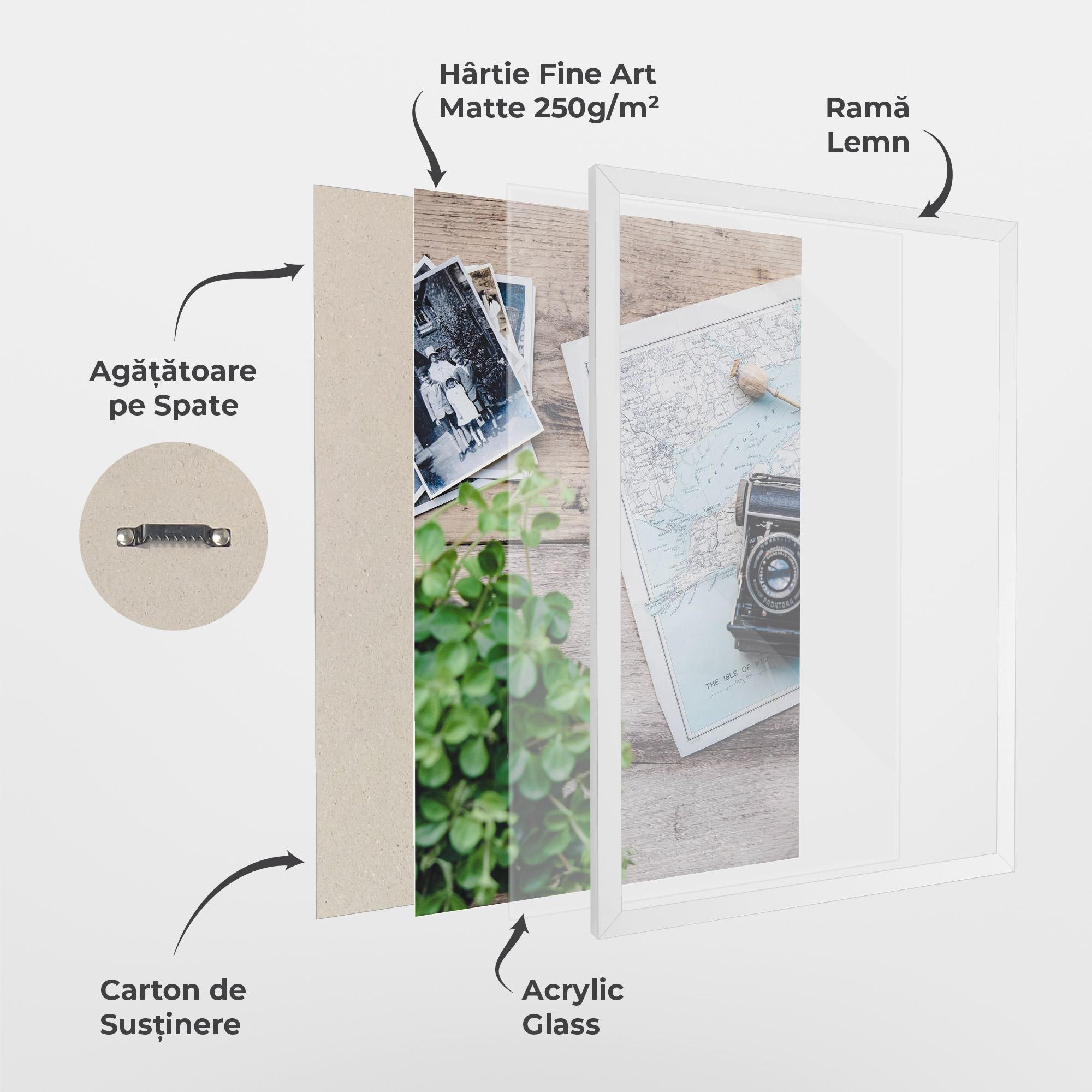 Poster Înrămat Camera Map mockup 1