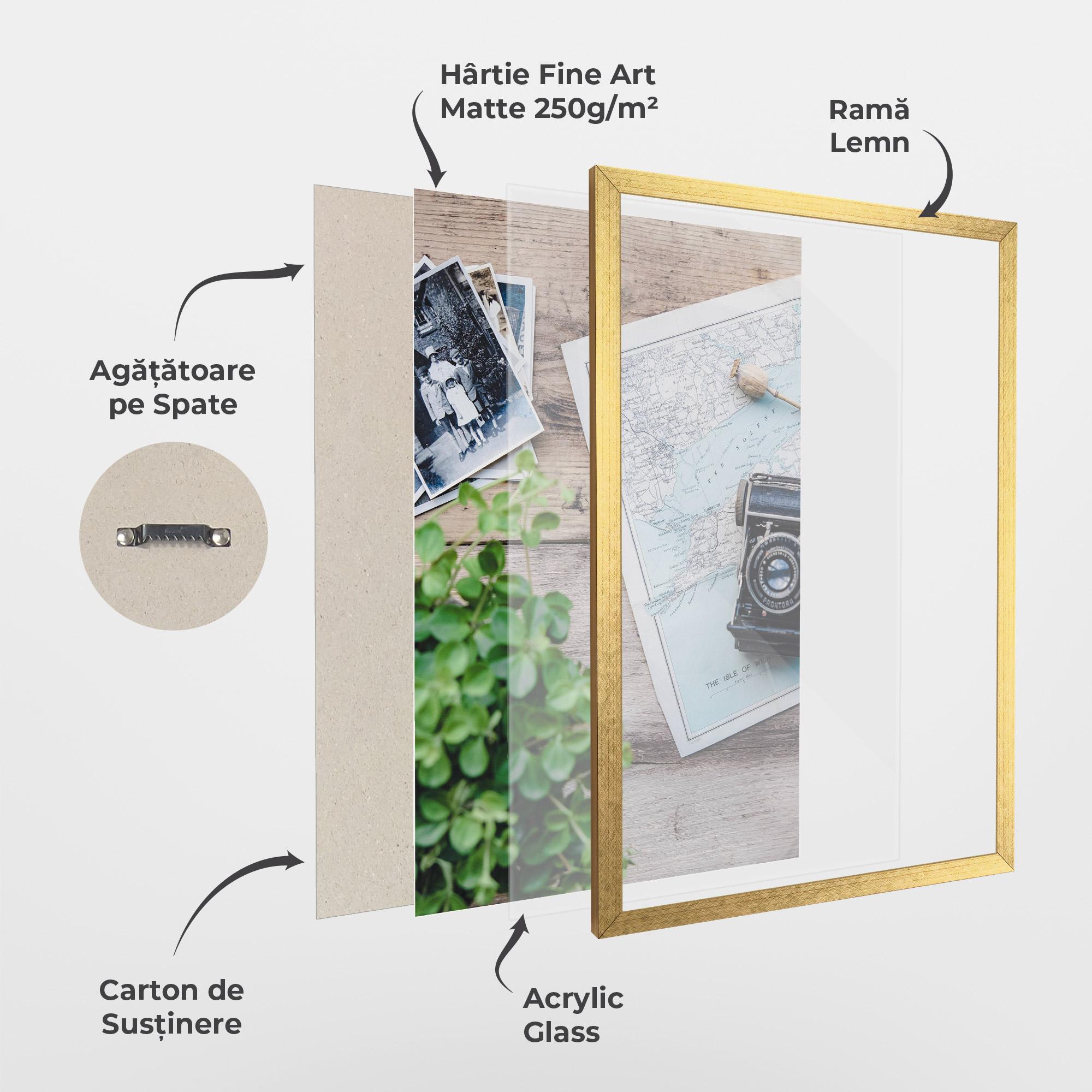 Poster Înrămat Camera Map mockup 1