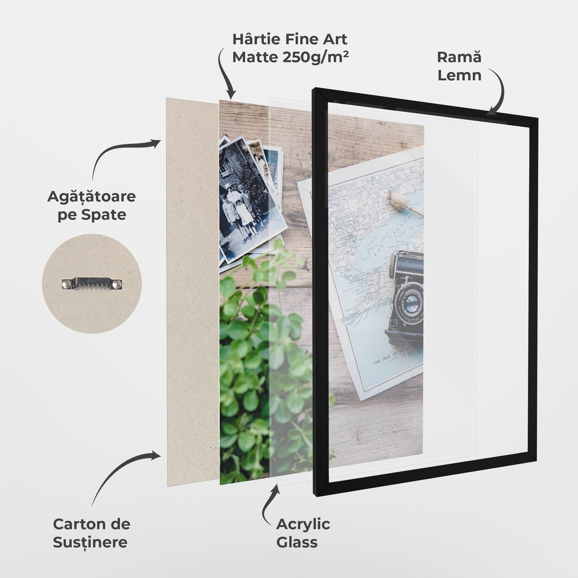 Poster Înrămat Camera Map mockup 1