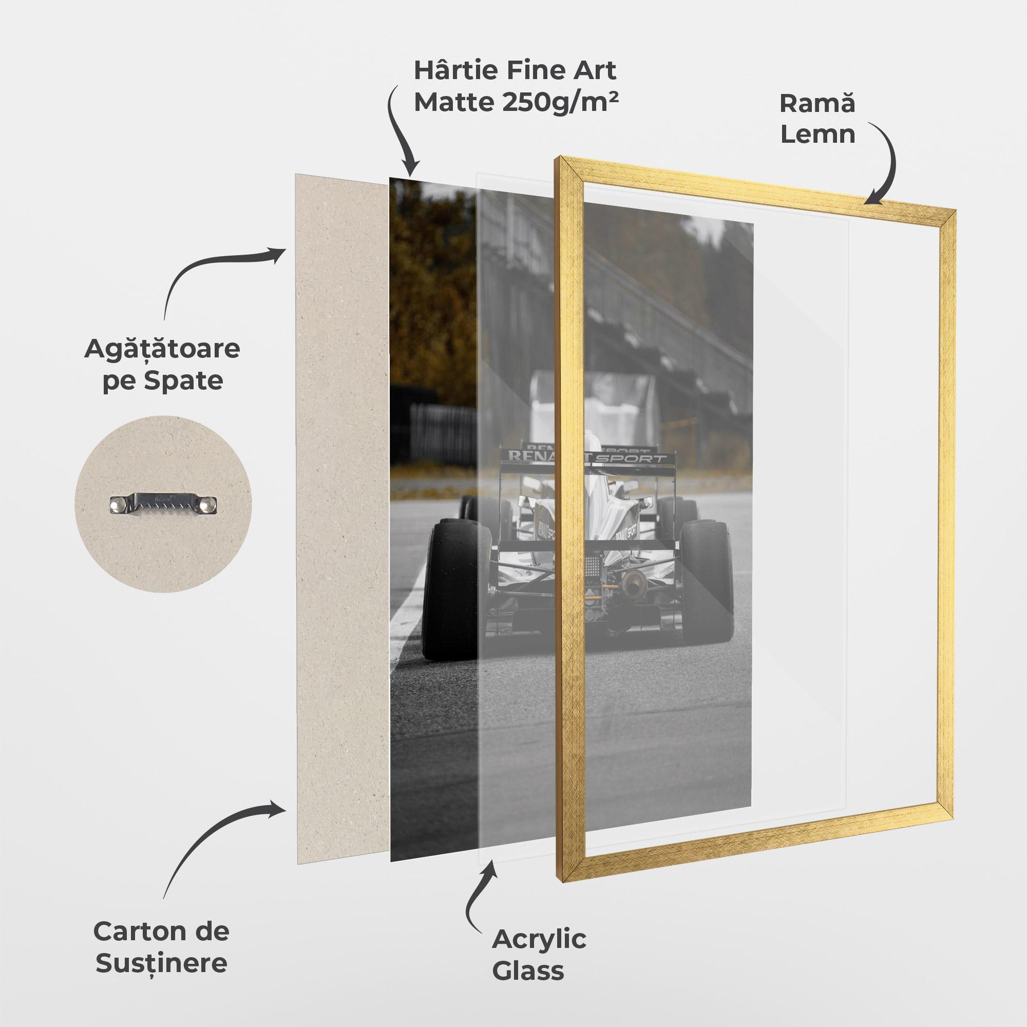 Poster Înrămat Grey F1 Car mockup 1