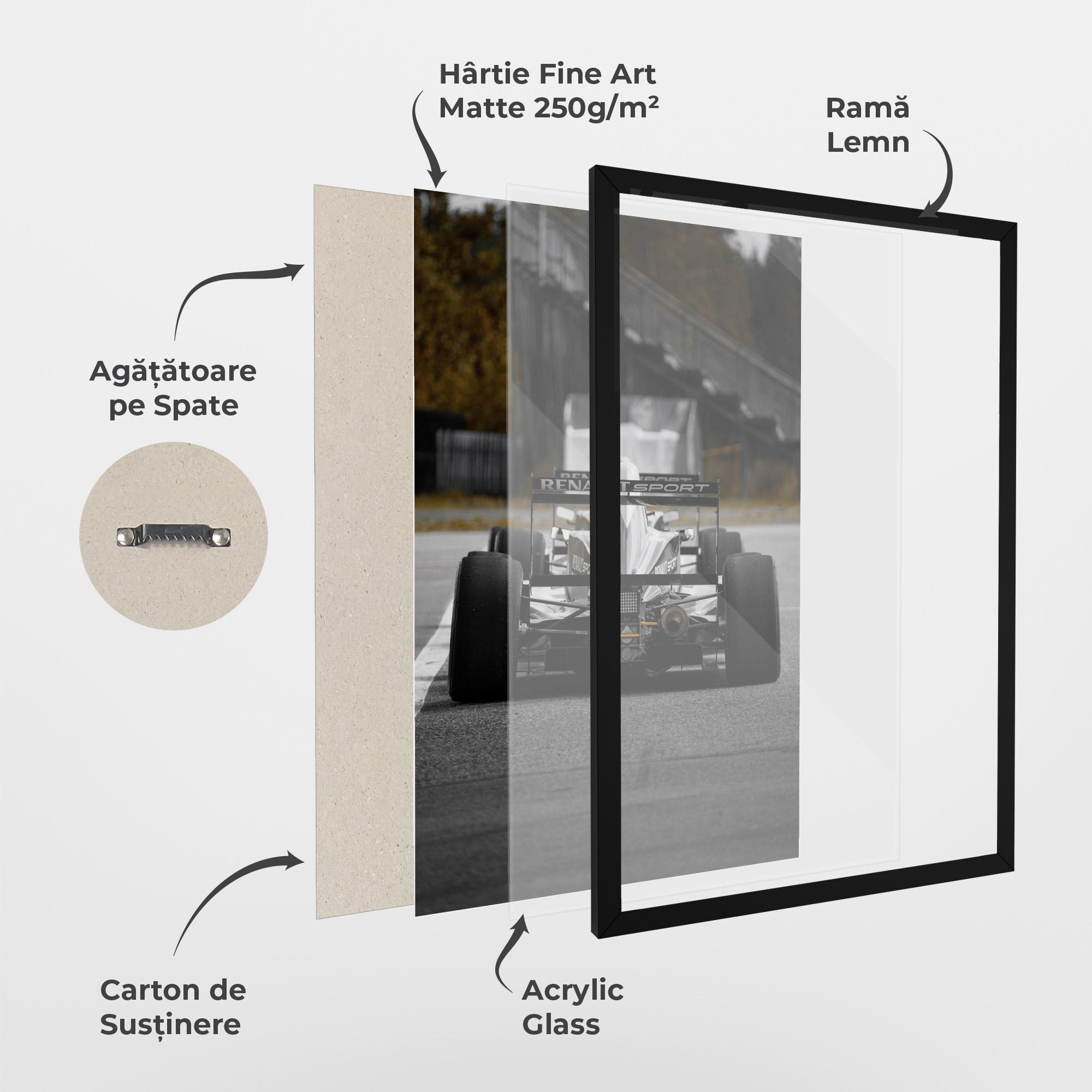 Poster Înrămat Grey F1 Car mockup 1