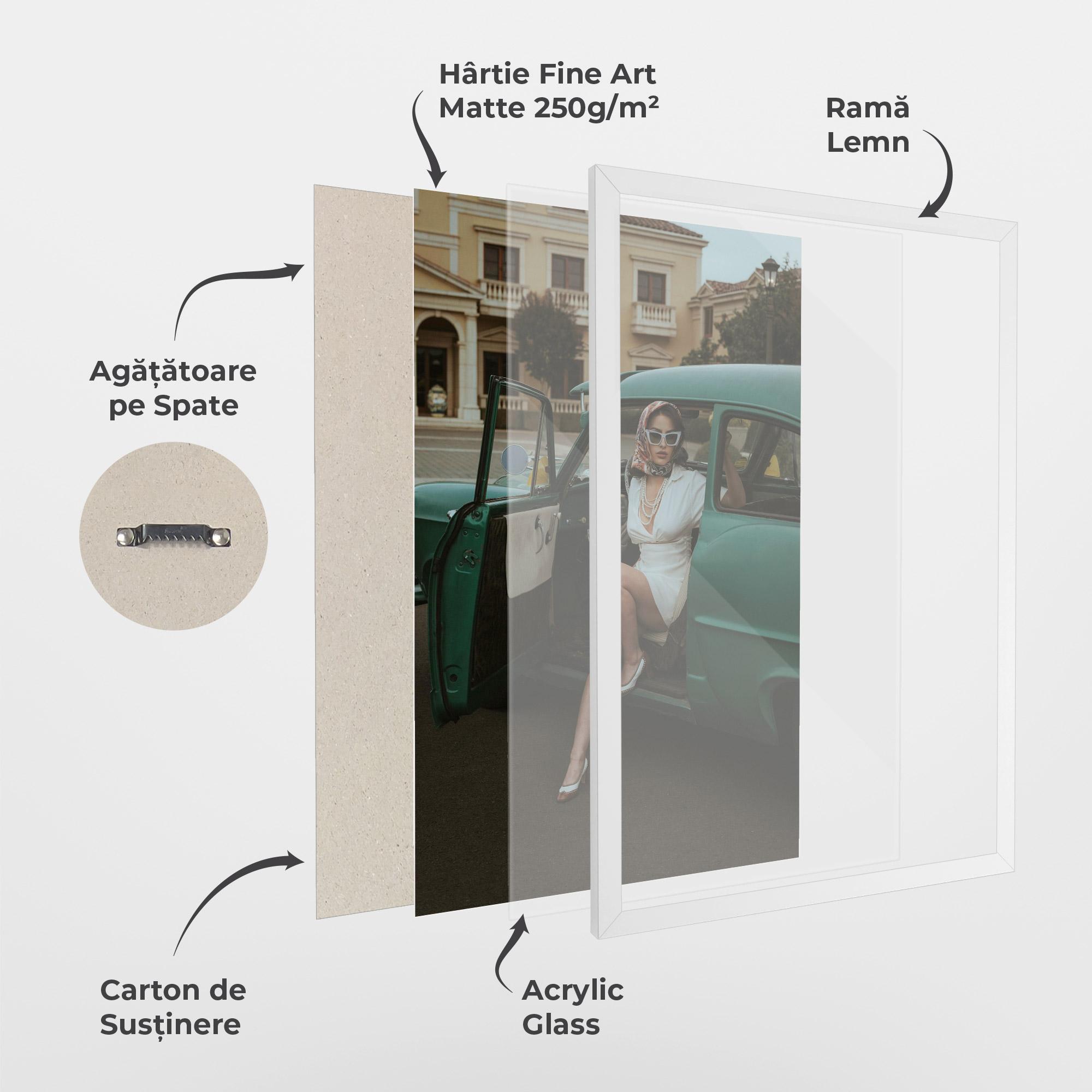 Poster Înrămat Lady Vintage Cat mockup 1