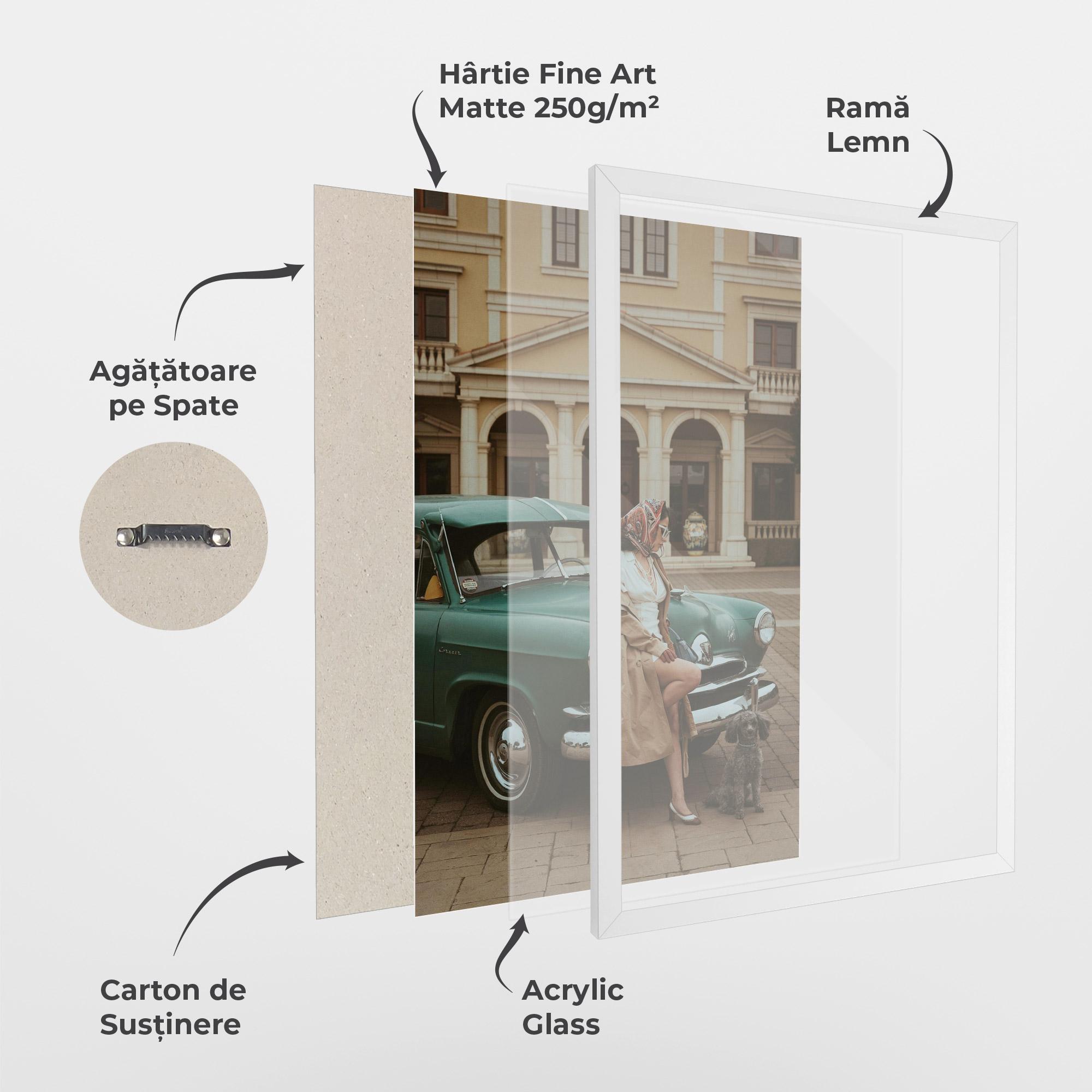 Poster Înrămat Vintage Lady Car mockup 1