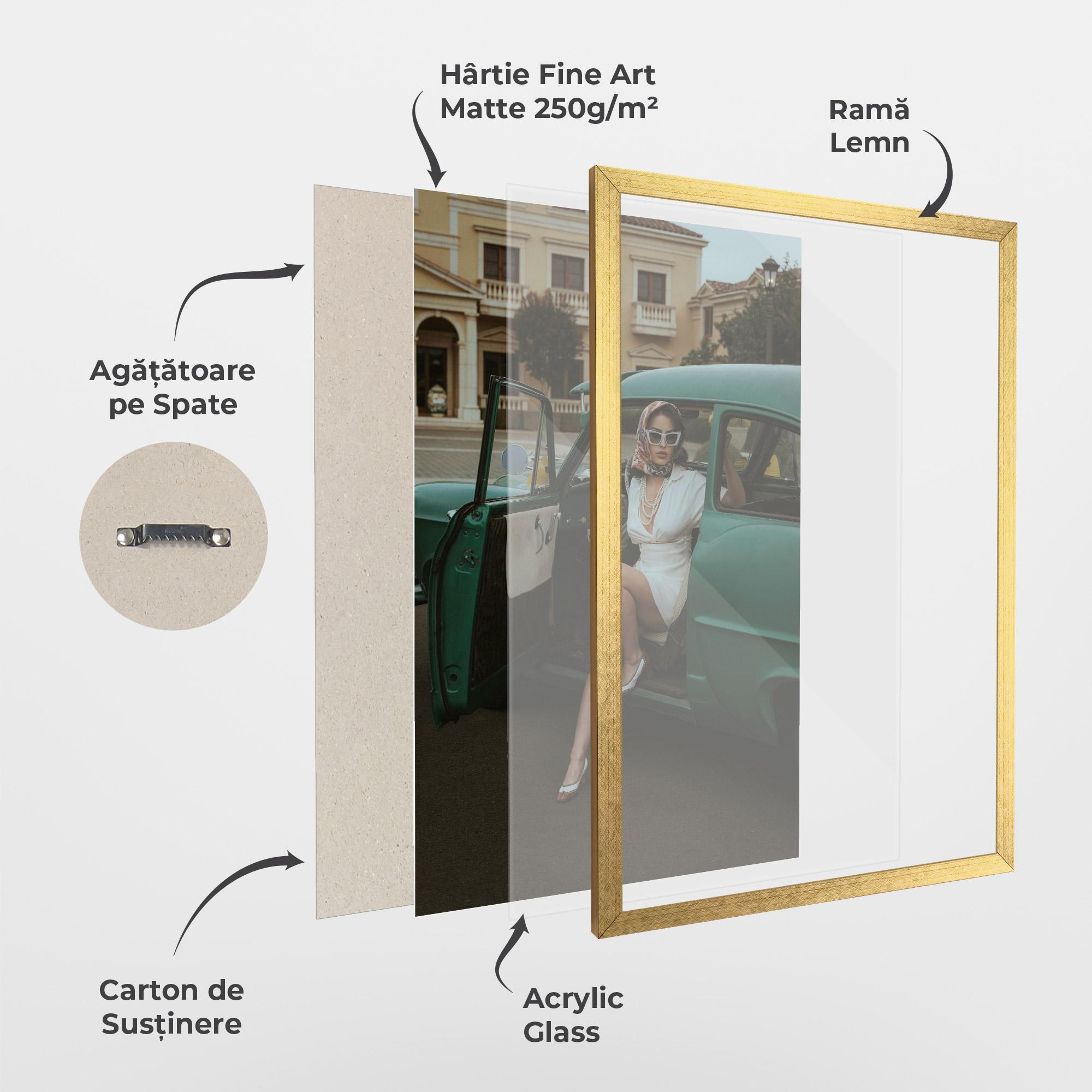 Poster Înrămat Lady Vintage Cat mockup 1