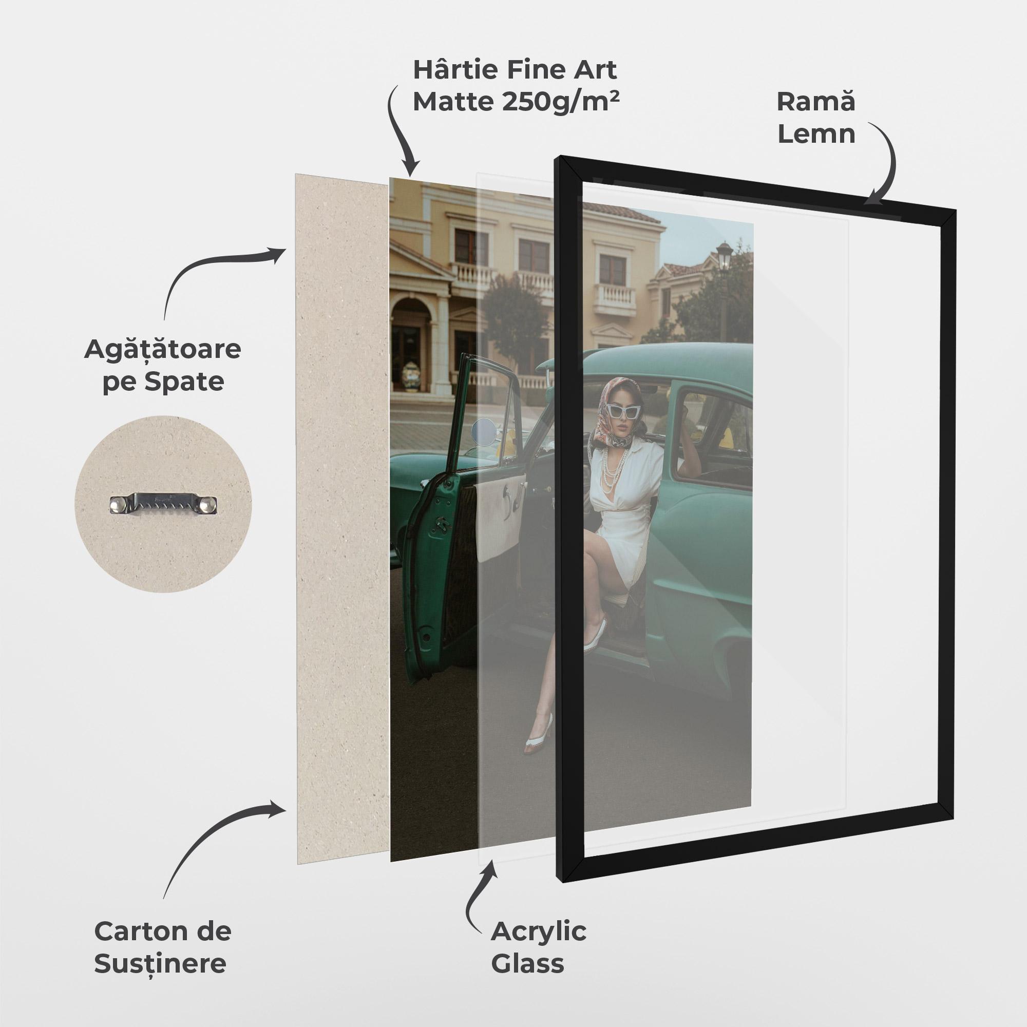 Poster Înrămat Lady Vintage Cat mockup 1