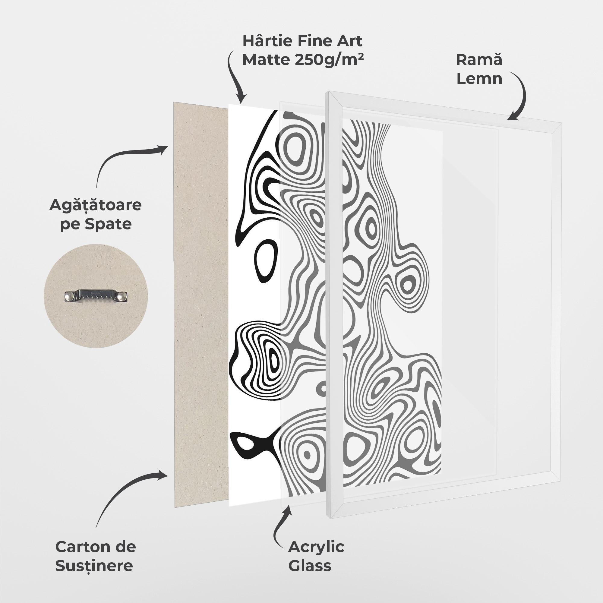 Poster Înrămat Abstract Line Grey Black mockup 1
