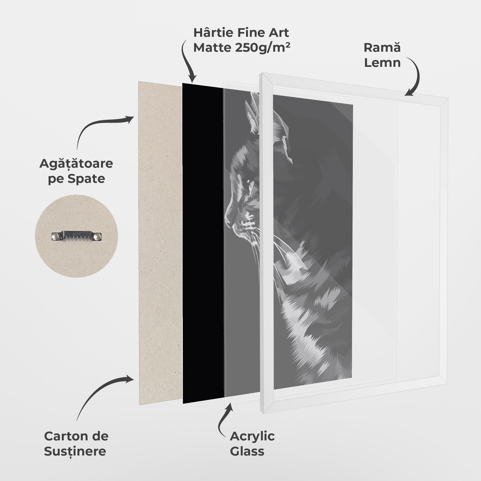 Poster Înrămat Black Grey Cat mockup 1