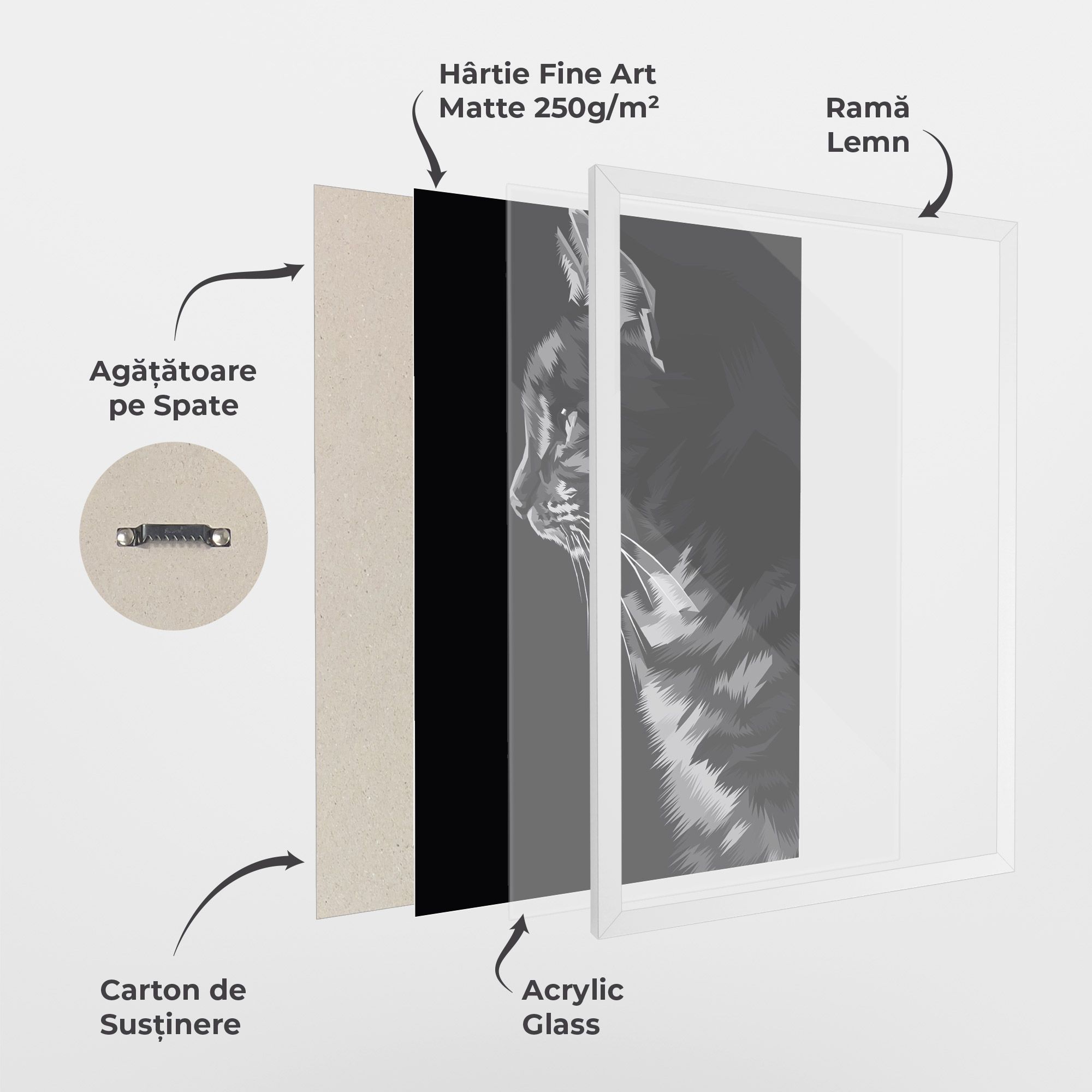 Black Grey Cat mockup 1