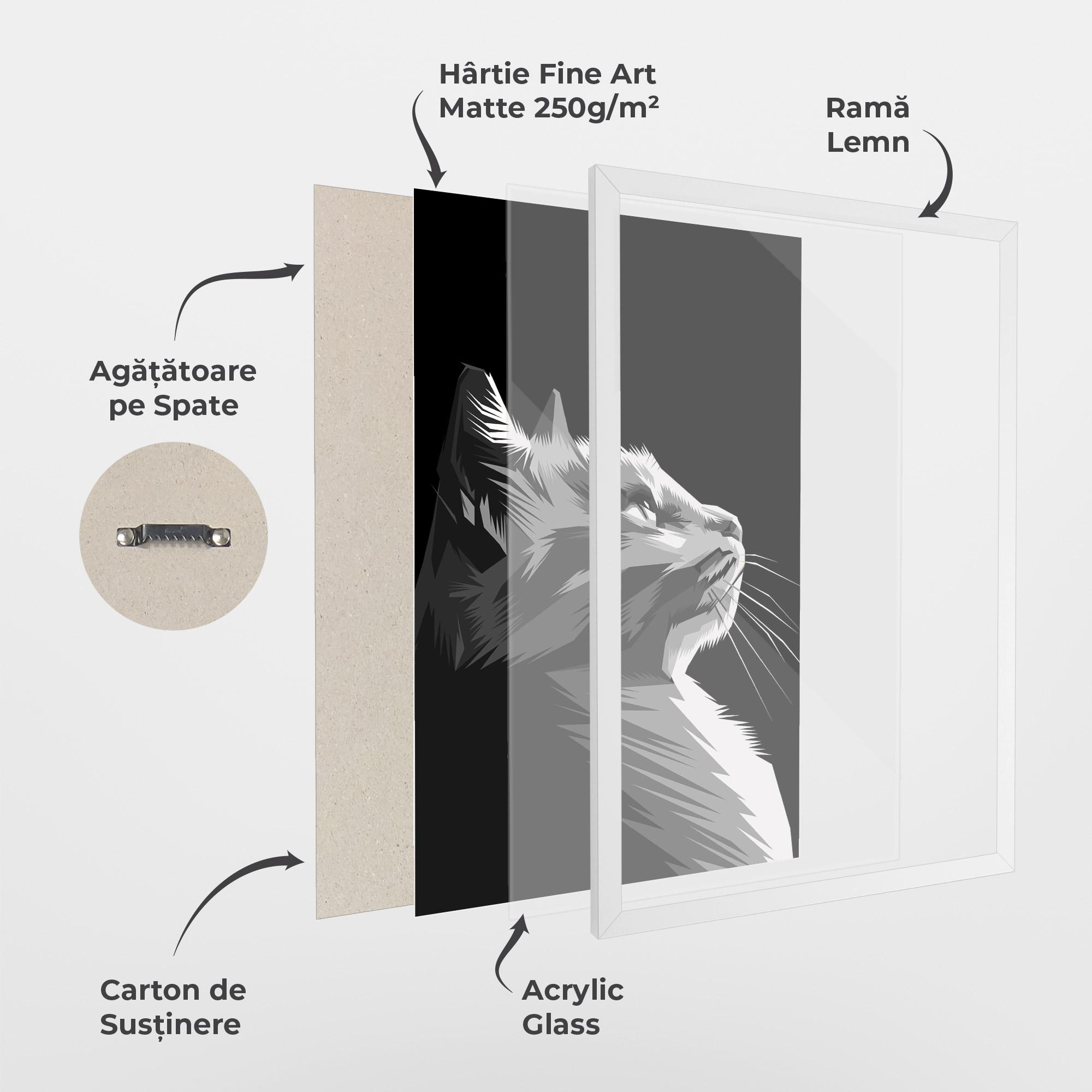 Poster Înrămat Grey Cat On Black mockup 1