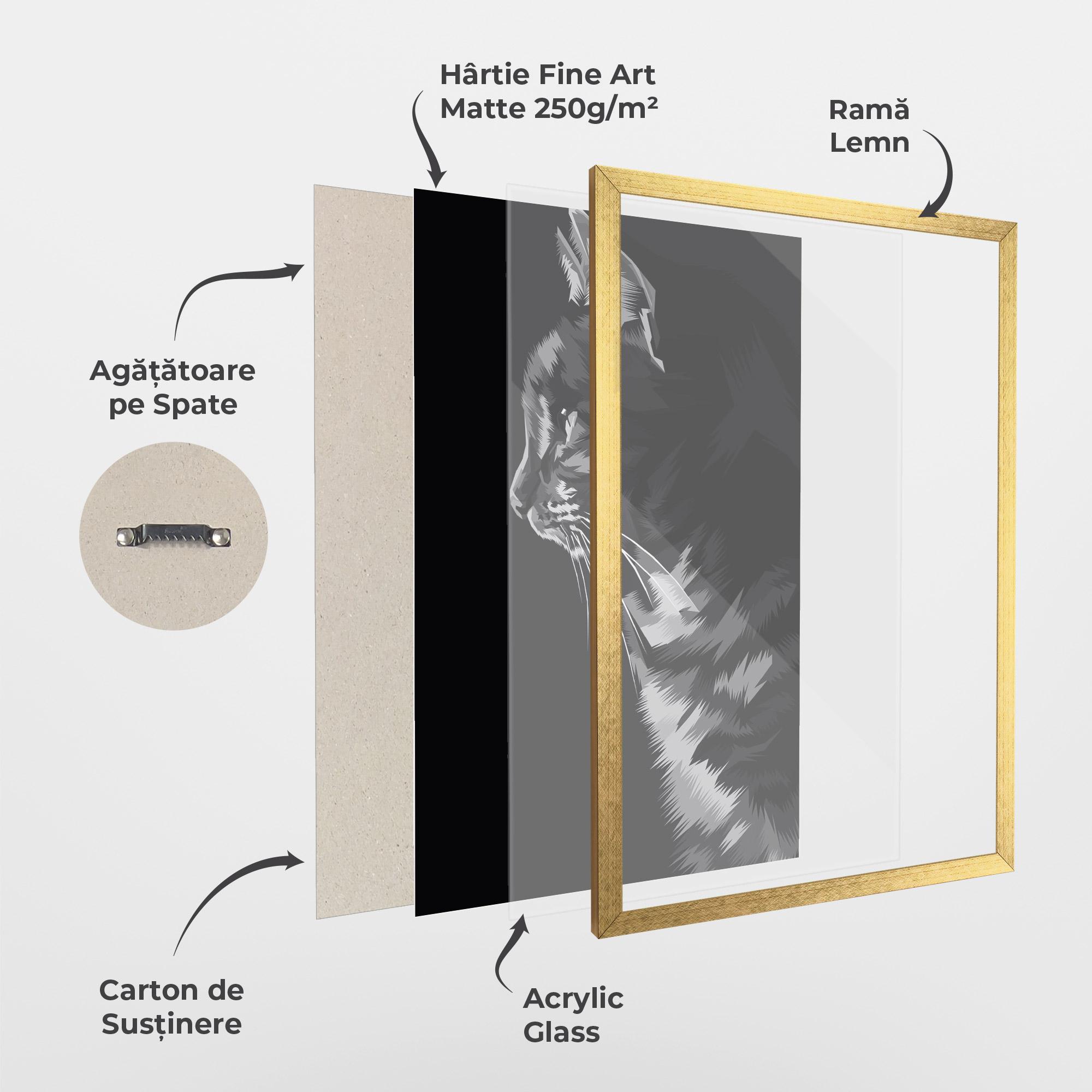 Poster Înrămat Black Grey Cat mockup 1