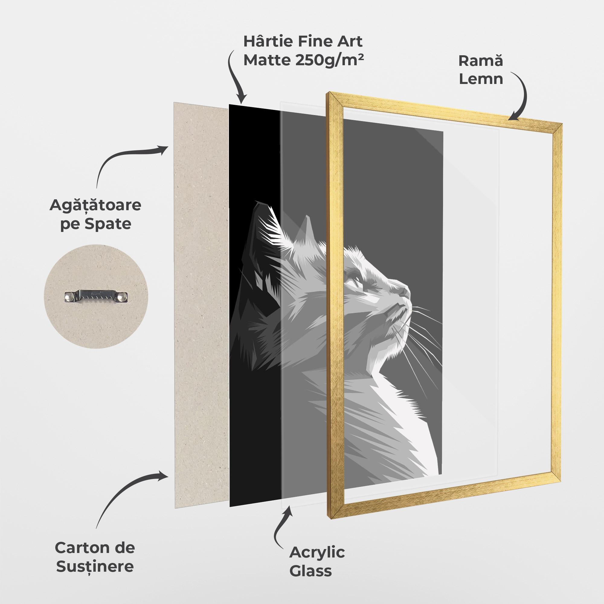 Poster Înrămat Grey Cat On Black mockup 1