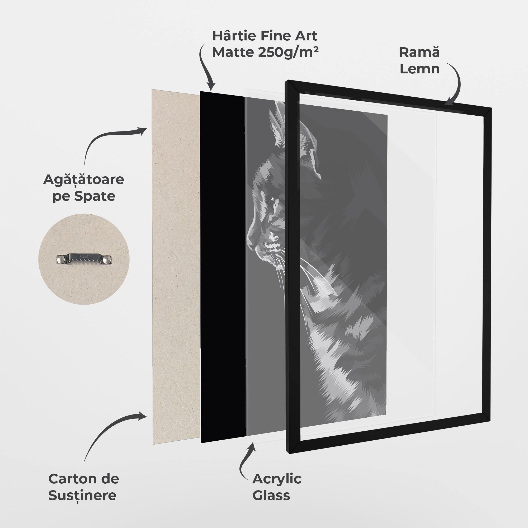 Poster Înrămat Black Grey Cat mockup 1