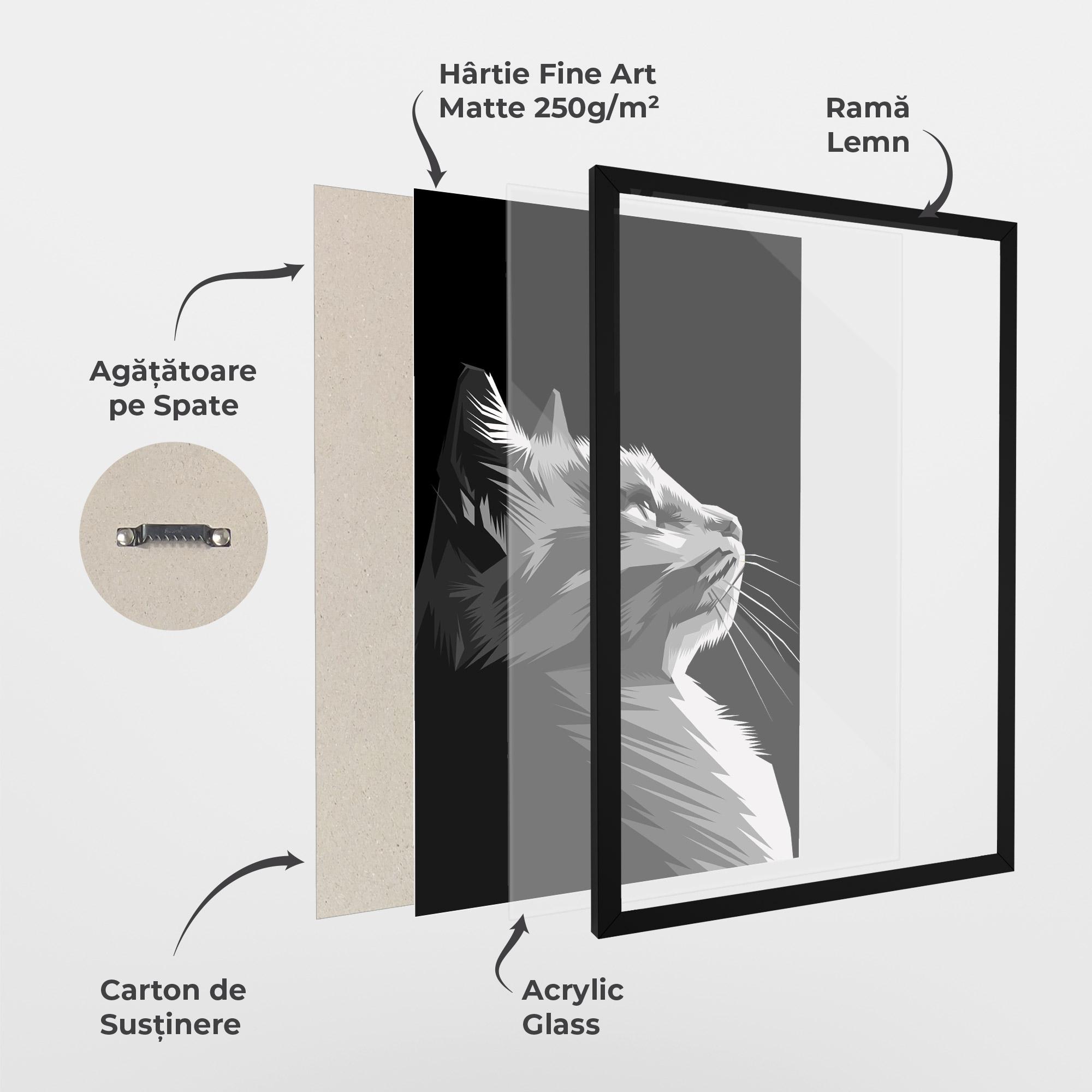 Poster Înrămat Grey Cat On Black mockup 1