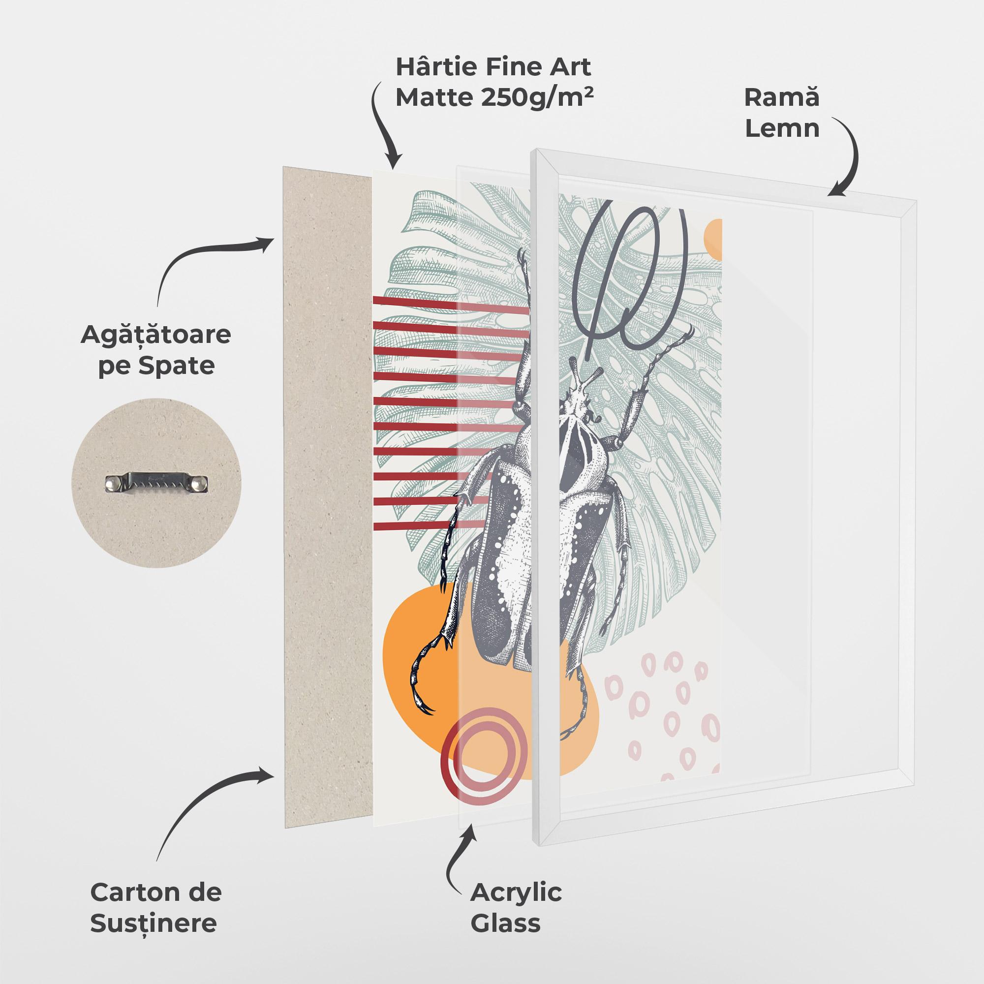 Poster Înrămat Insects Art Collage mockup 1