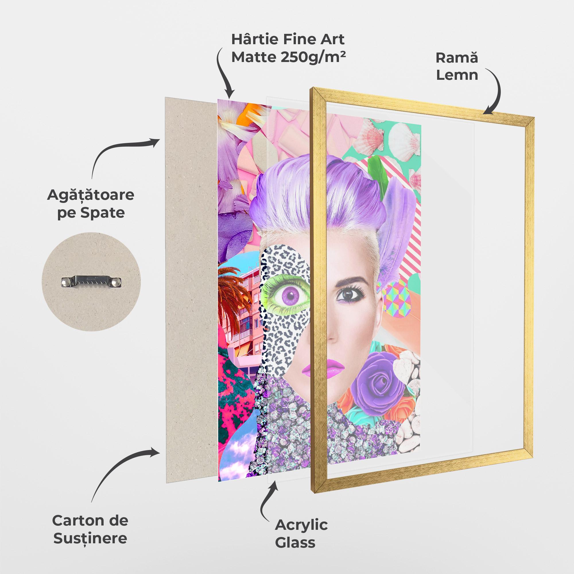 Poster Înrămat Art Collage Lady mockup 1