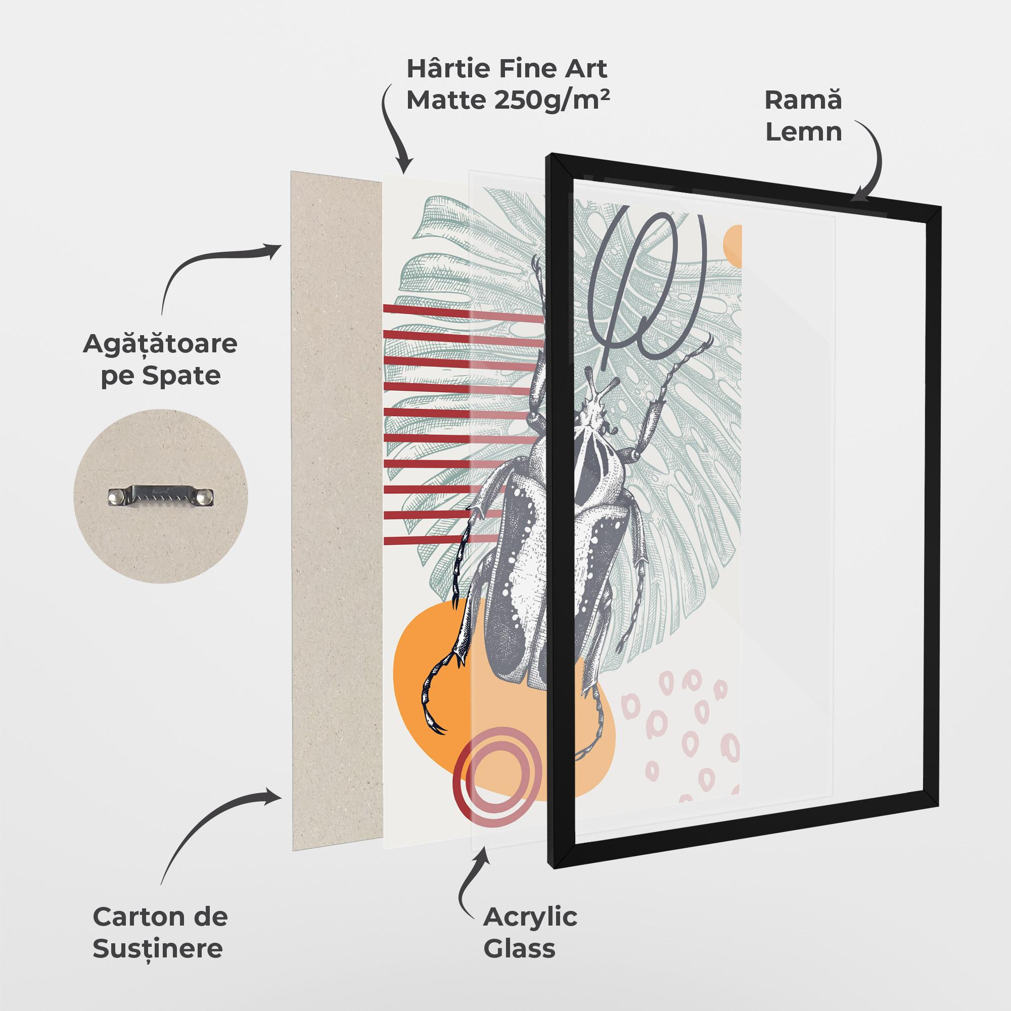 Poster Înrămat Insects Art Collage mockup 1